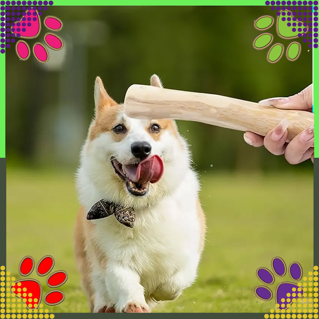 Puidust närimisleluga loomulik koertele, vastupidav mänguasi 24x3cm