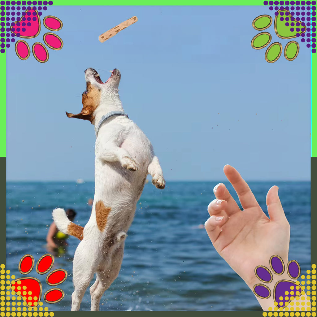 Puidust närimisleluga loomulik mänguasi koertele, vastupidav, 14x1cm