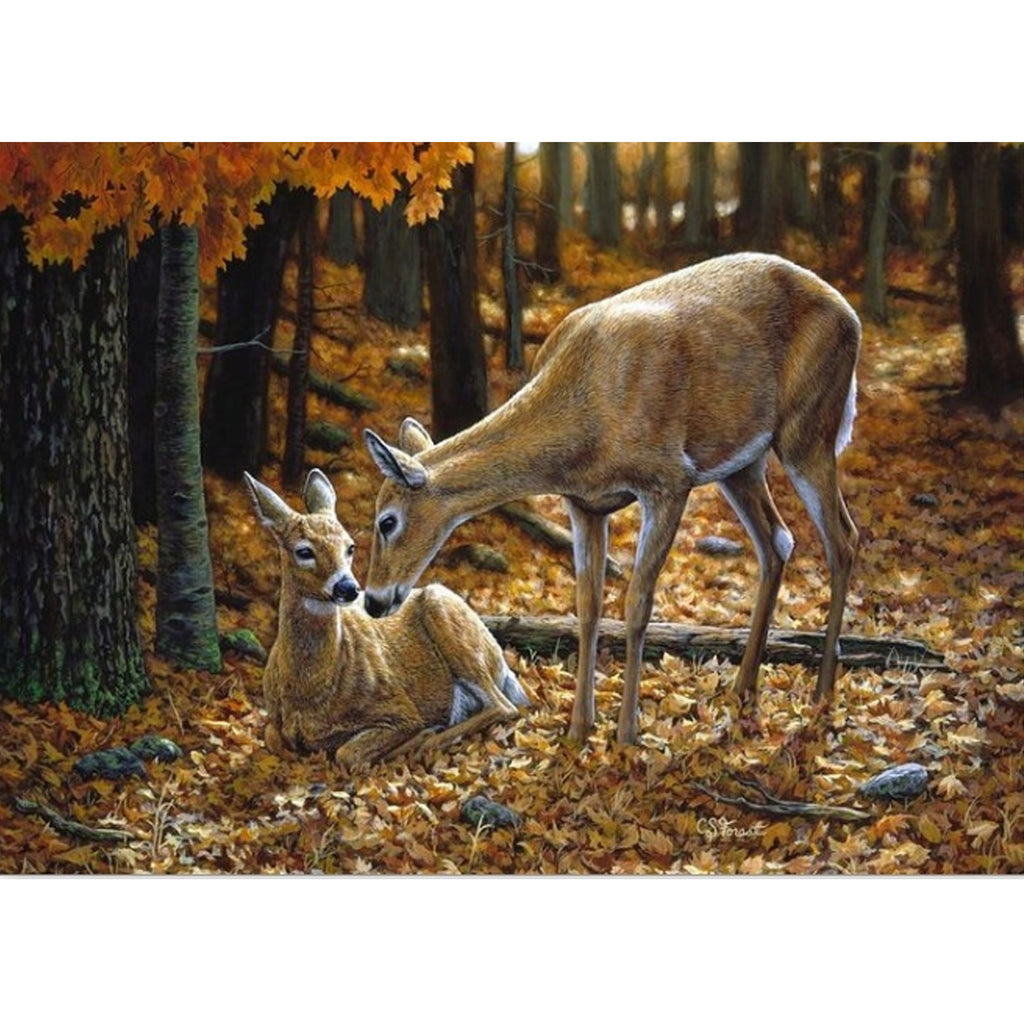 Teemantmaal 5D lõuendi raamistikukomplekt 30X40