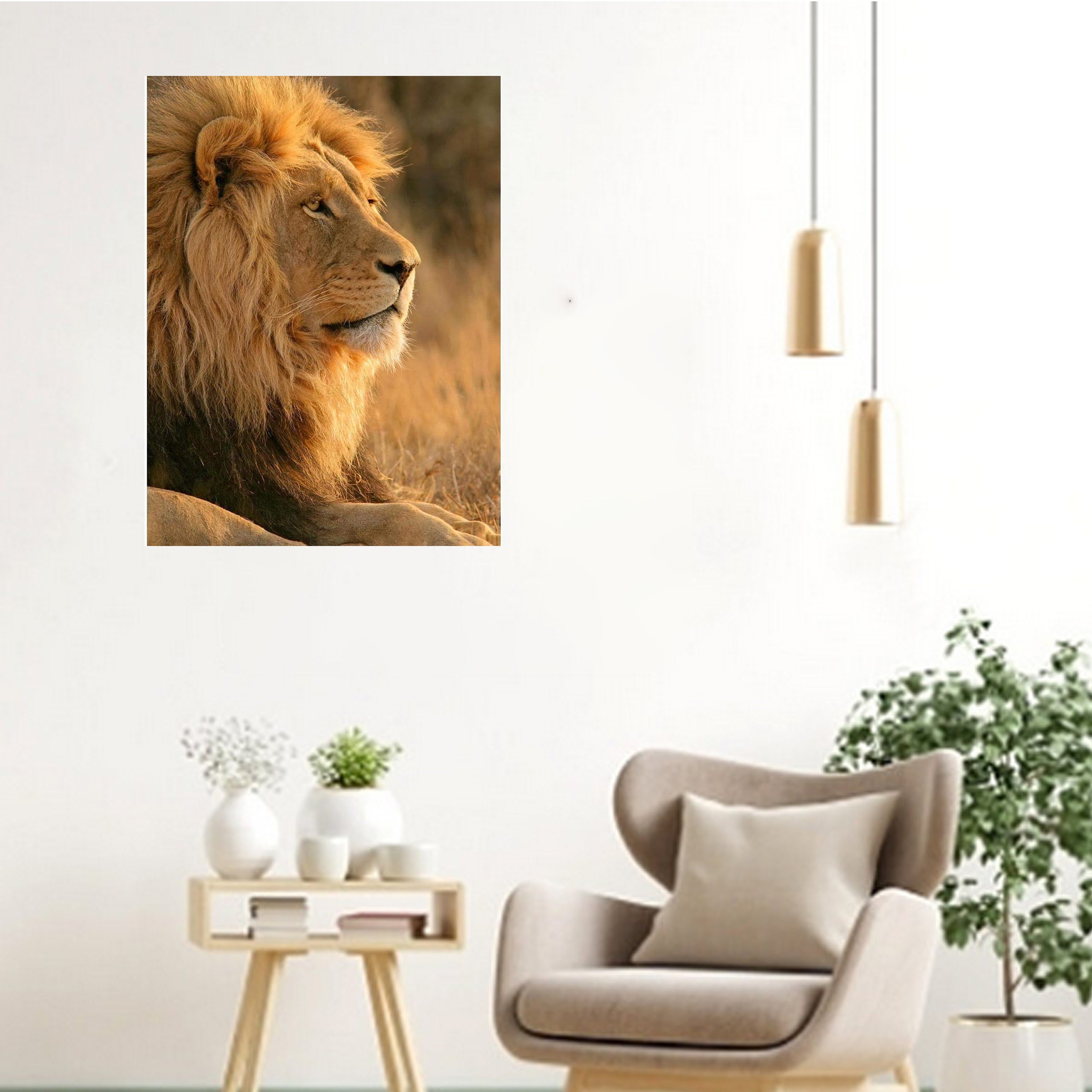 Numbrite järgi maalimise lõuend raamiga, isetegemise komplekt, pintslid, värvid 40x50