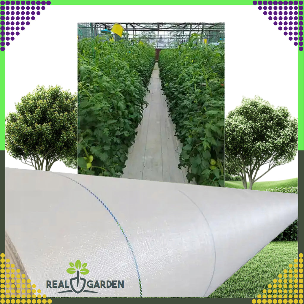 Agrotextile 70g 1.6x100m White UV Agro Fabric Weed Control Mat with Anchors