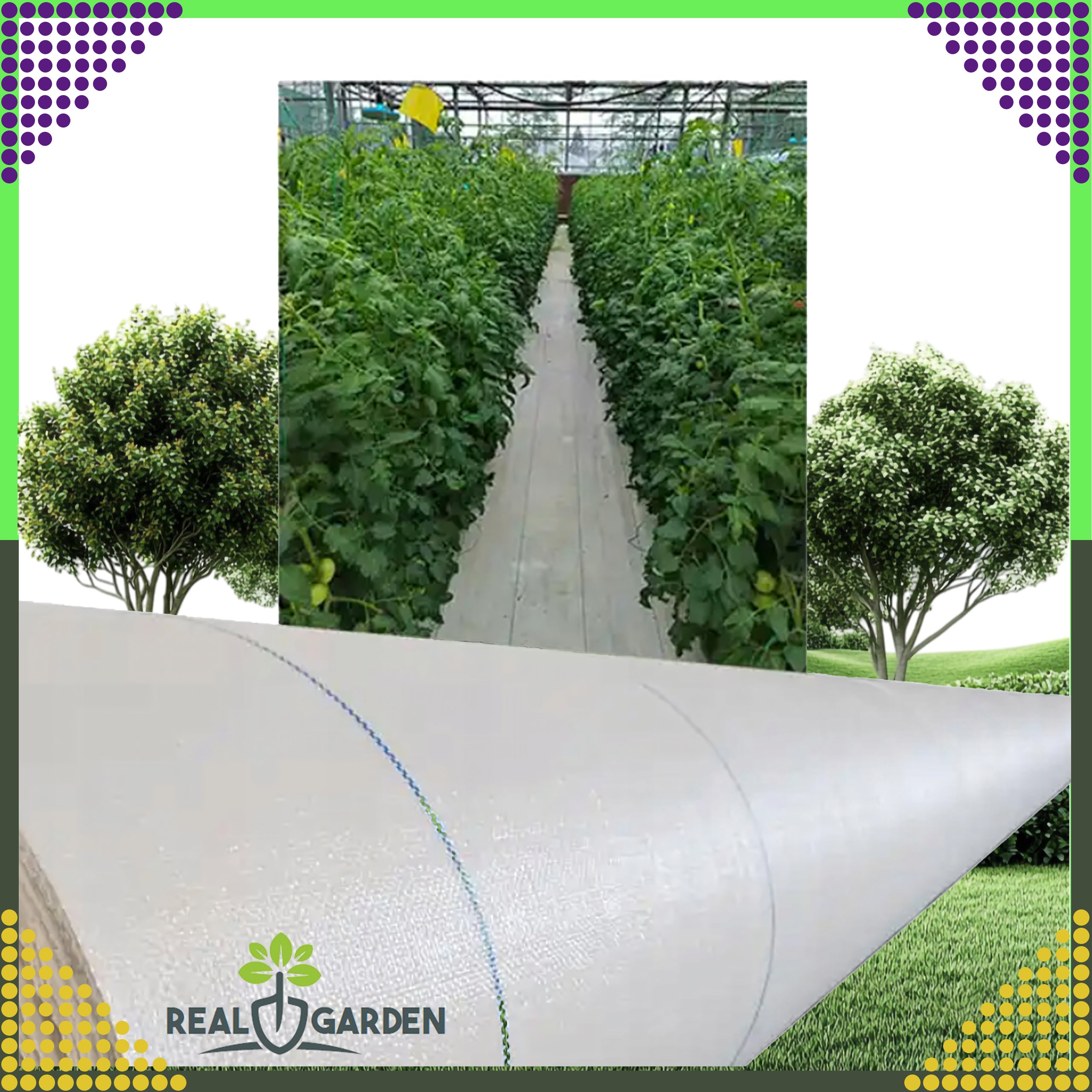 Agrotextile 70g 1.6x100m White UV Agro Fabric Weed Control Mat with Anchors