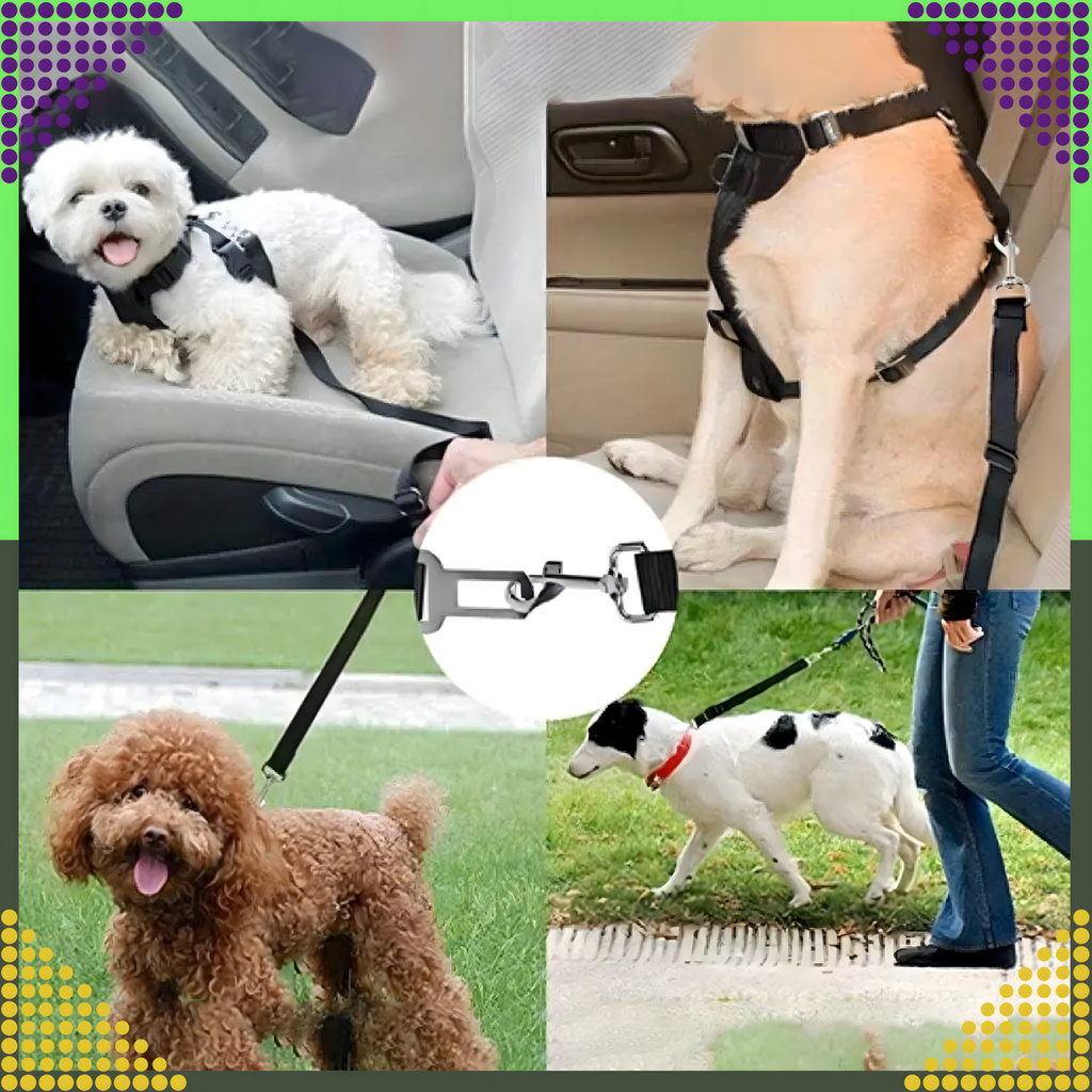 Turvavöö koerale ja kassile autosse, reguleeritav rihm autole