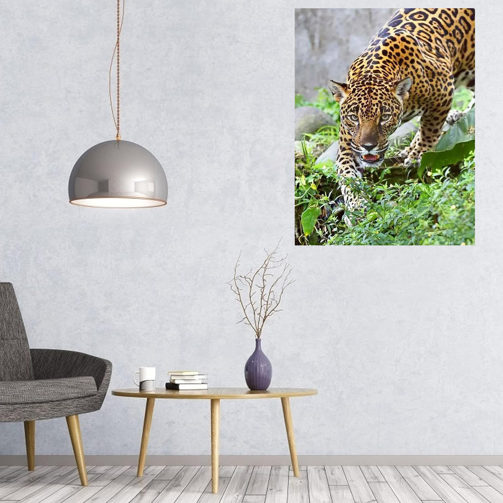 Numbrite järgi maalimise komplekt raamiga 40x50 cm Jaguar disain