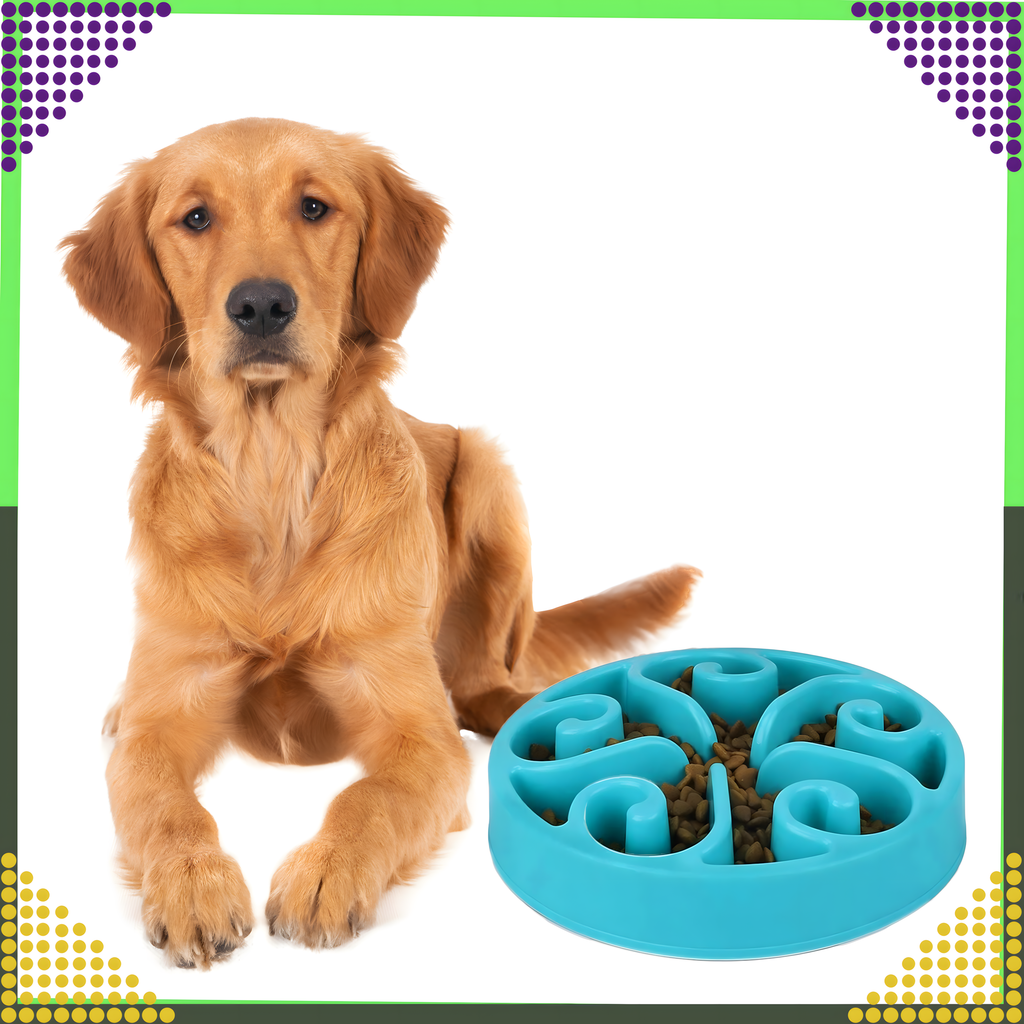 Toidu aeglustav kauss koerale, kassile ja teistele loomadele, suur, vaheseintega