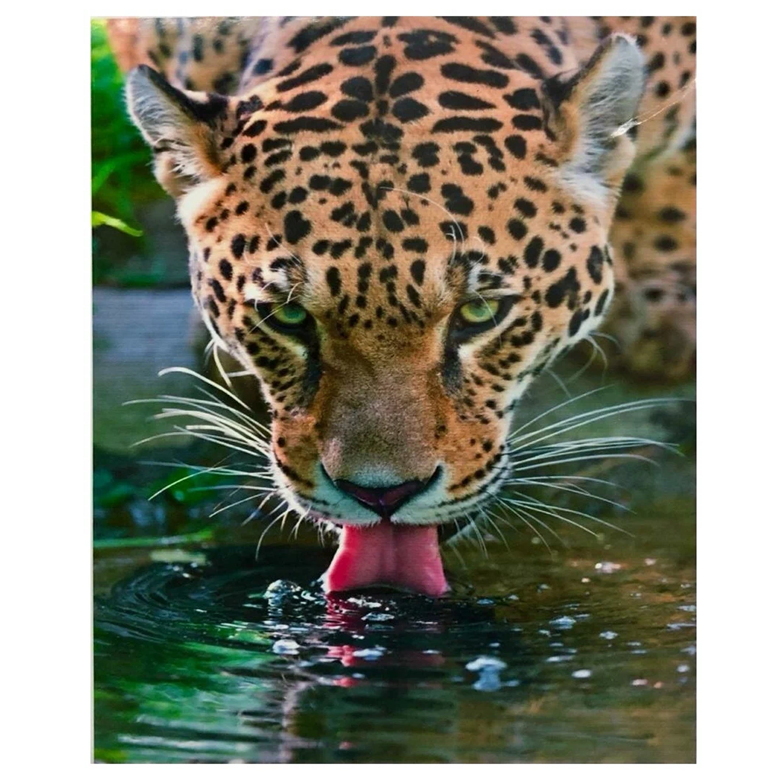 Numbrite järgi maalimise lõuend raamiga isetegemise komplekt pintslite ja värvidega 30x40