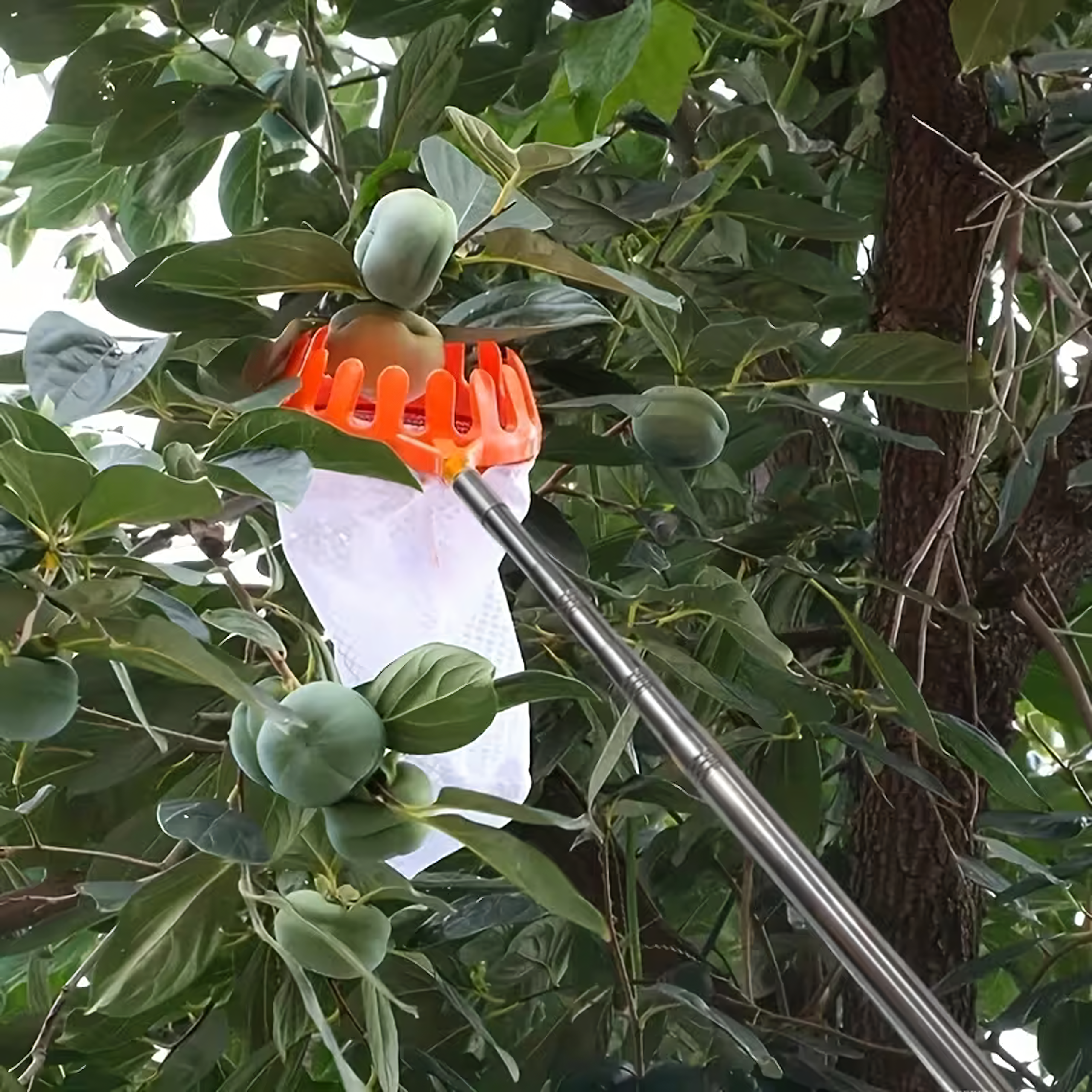 Puuviljakorv õunte ja teiste puuviljade korjamiseks