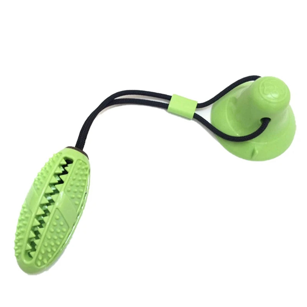 Interaktiivne koeramaiuse mänguasi aardega iminapaga