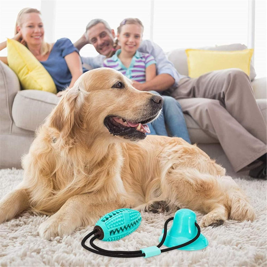 Interaktiivne koera maiusemänguasi aardega iminapaga