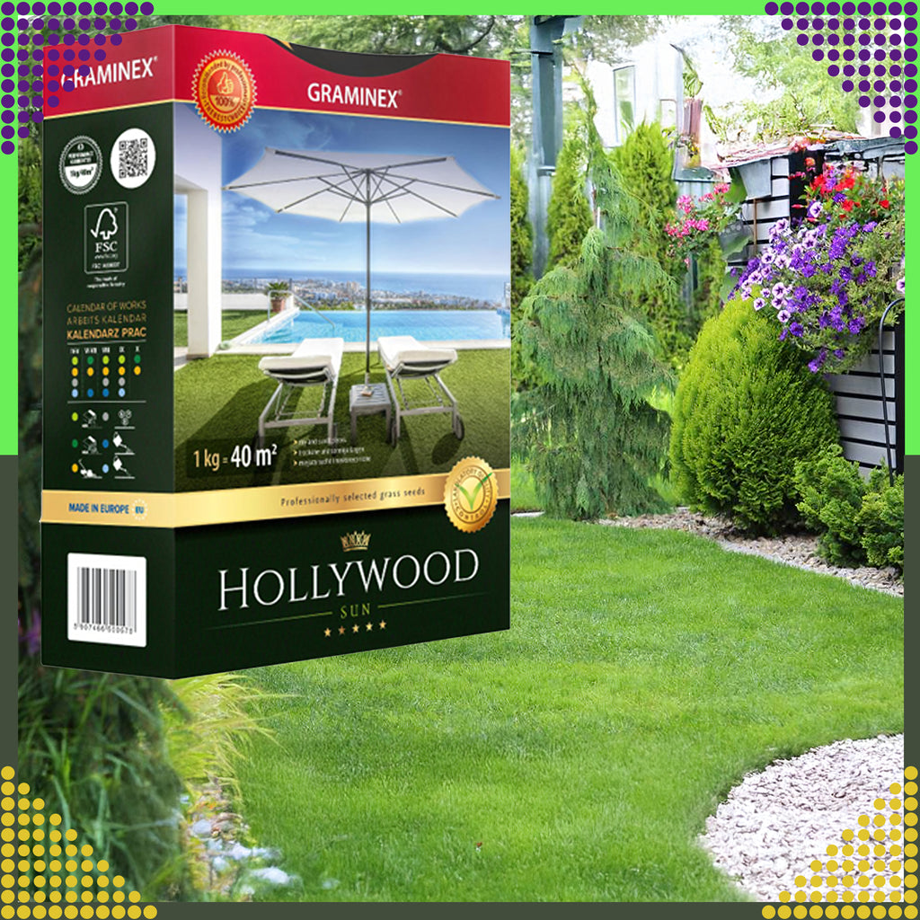 Premium Grass Seed Mix HOLLYWOOD 1kg for Sunny Dry Areas