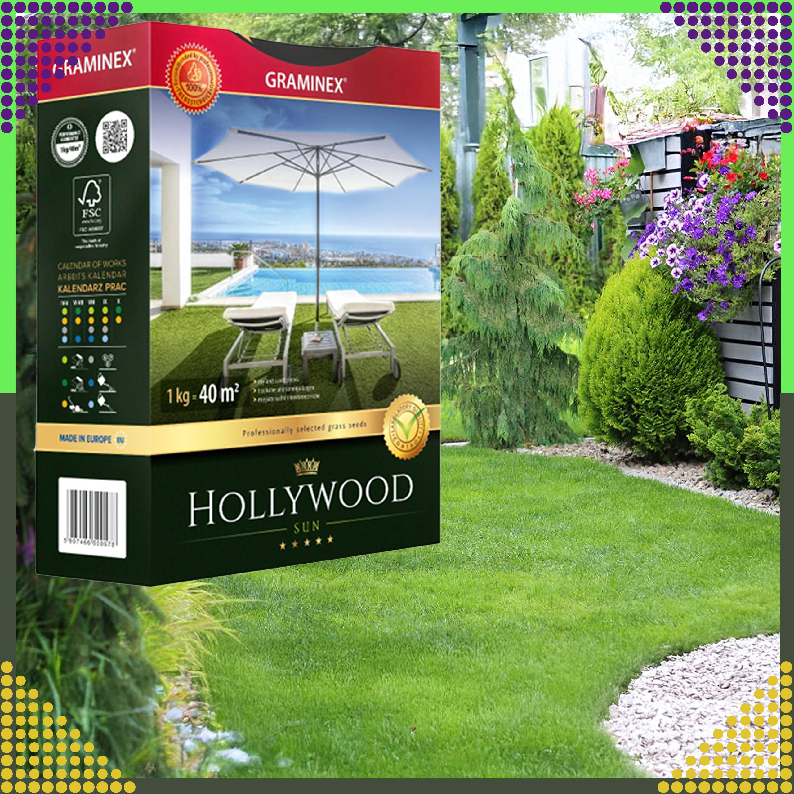 Premium Grass Seed Mix HOLLYWOOD 1kg for Sunny Dry Areas