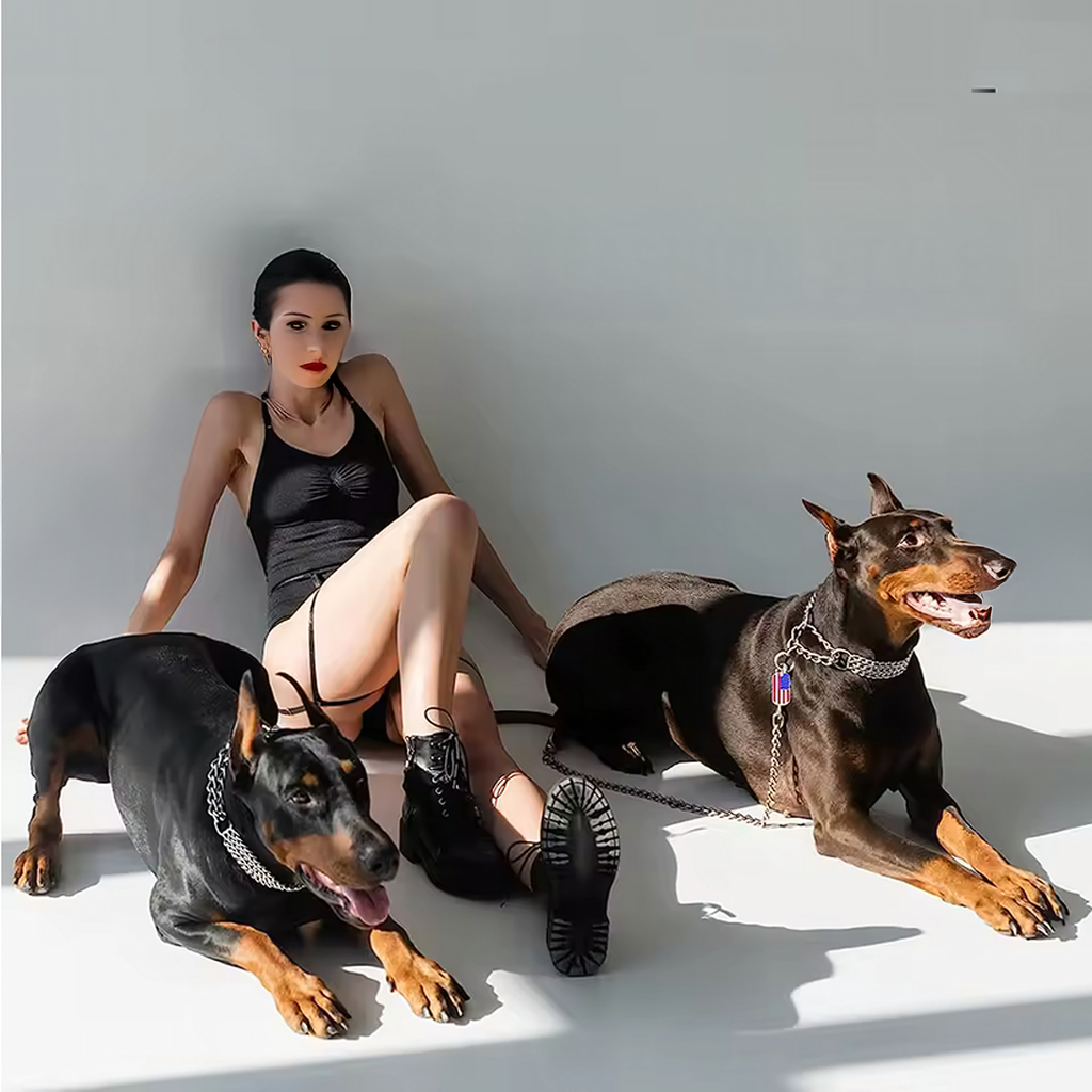 Tugev metallist koerakrae 3 reaga, 45 cm kett