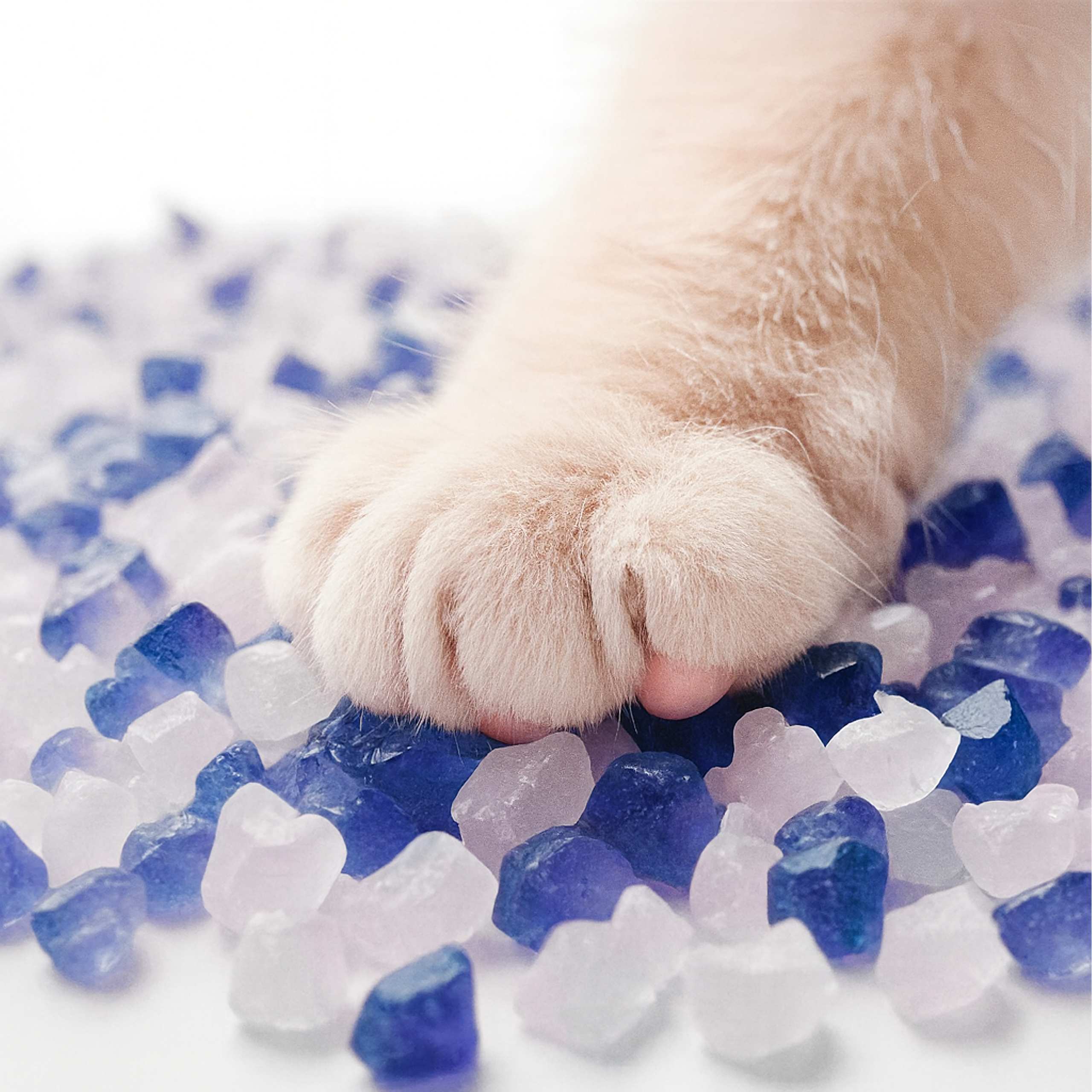 8x silikoonist kassiliiv liivakastile 1.5 kg paakumatu, tolmuvaba, tõhus