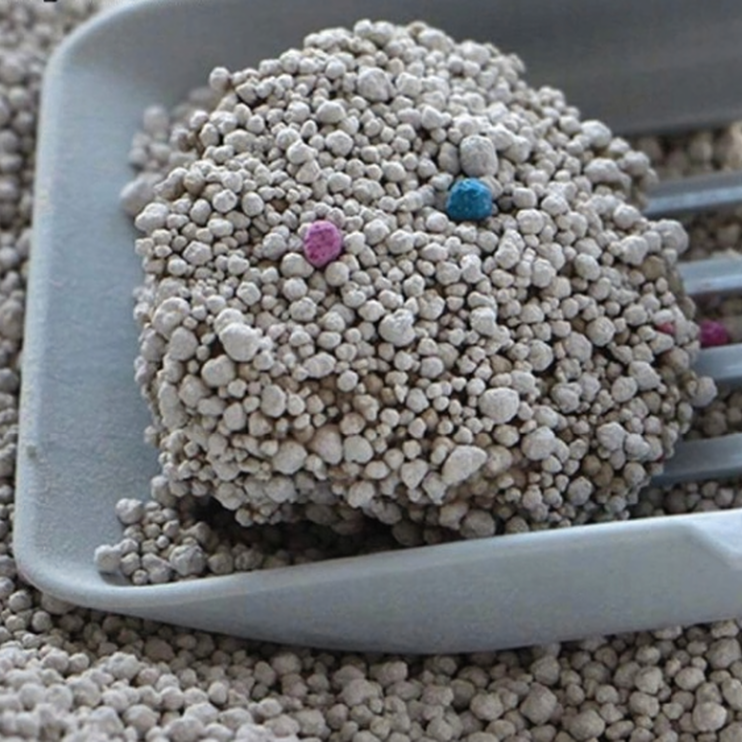 60x Naturaalne bentoniit kassiliiv 20 kg Paakuv, tolmuvaba, üliimav