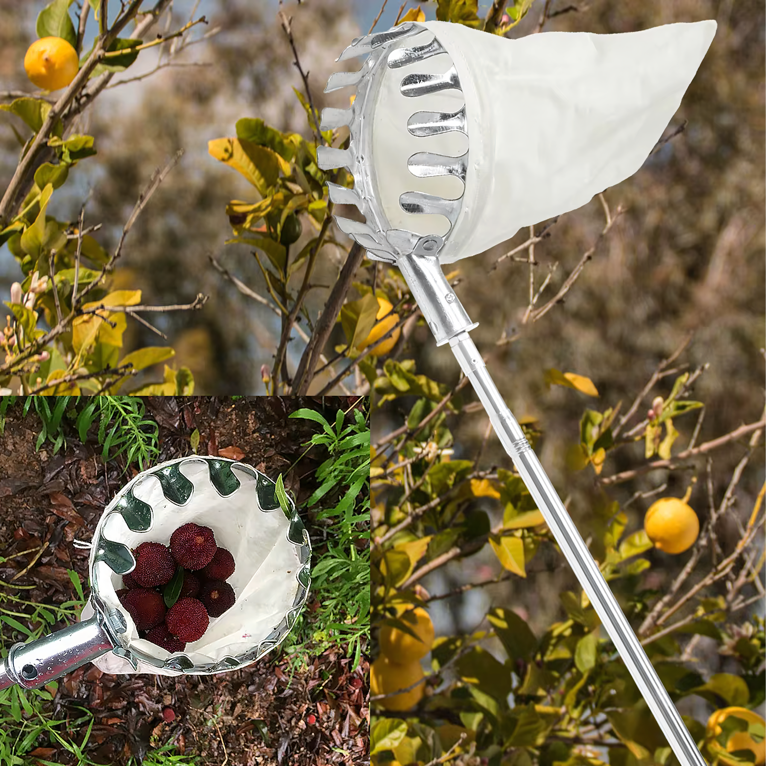 Telescopic Fruit Picker with 4 Interchangeable Heads, 400 cm Handle