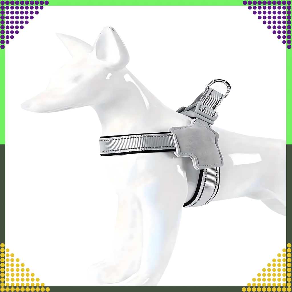 Tugevad, survevabad traksid, jalutusrihm väikestele koertele ja kassidele, suurus: S