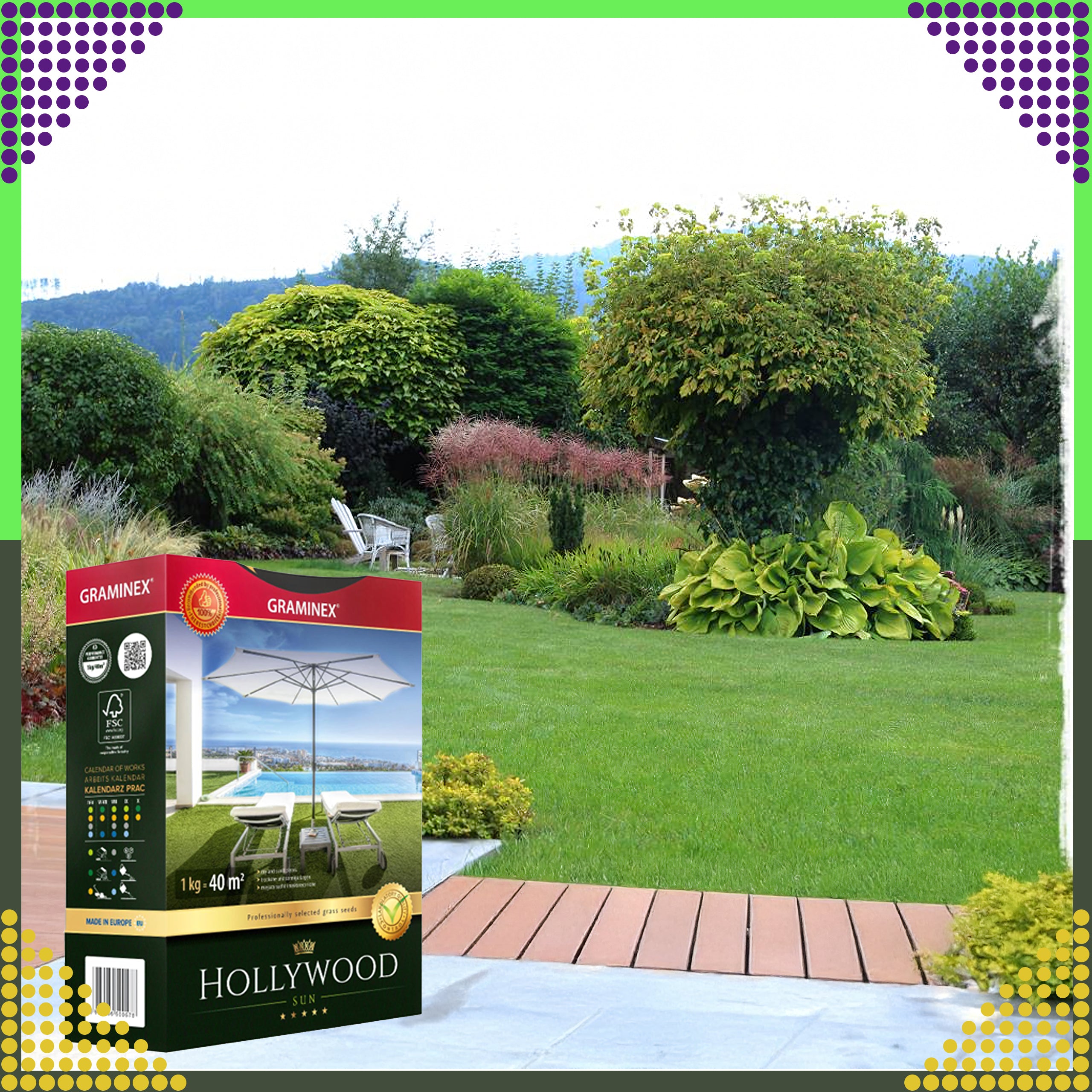 Premium Grass Seed Mix HOLLYWOOD 1kg for Sunny Dry Areas