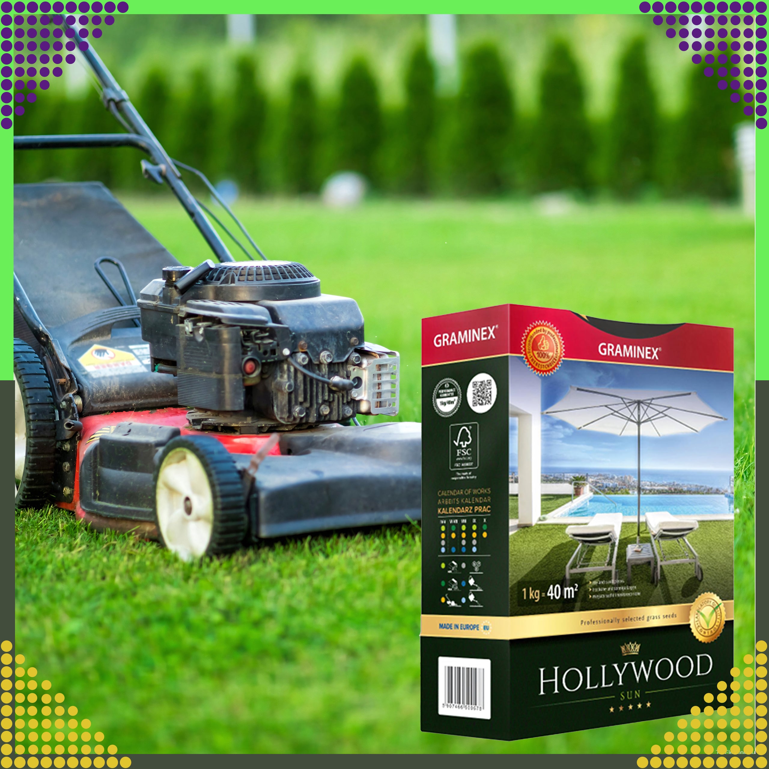 Premium Grass Seed Mix HOLLYWOOD 1kg for Sunny Dry Areas