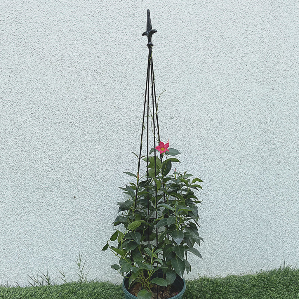 Pergola tugiraam terrassile, metallist lillede ja taimede alus, 150 cm