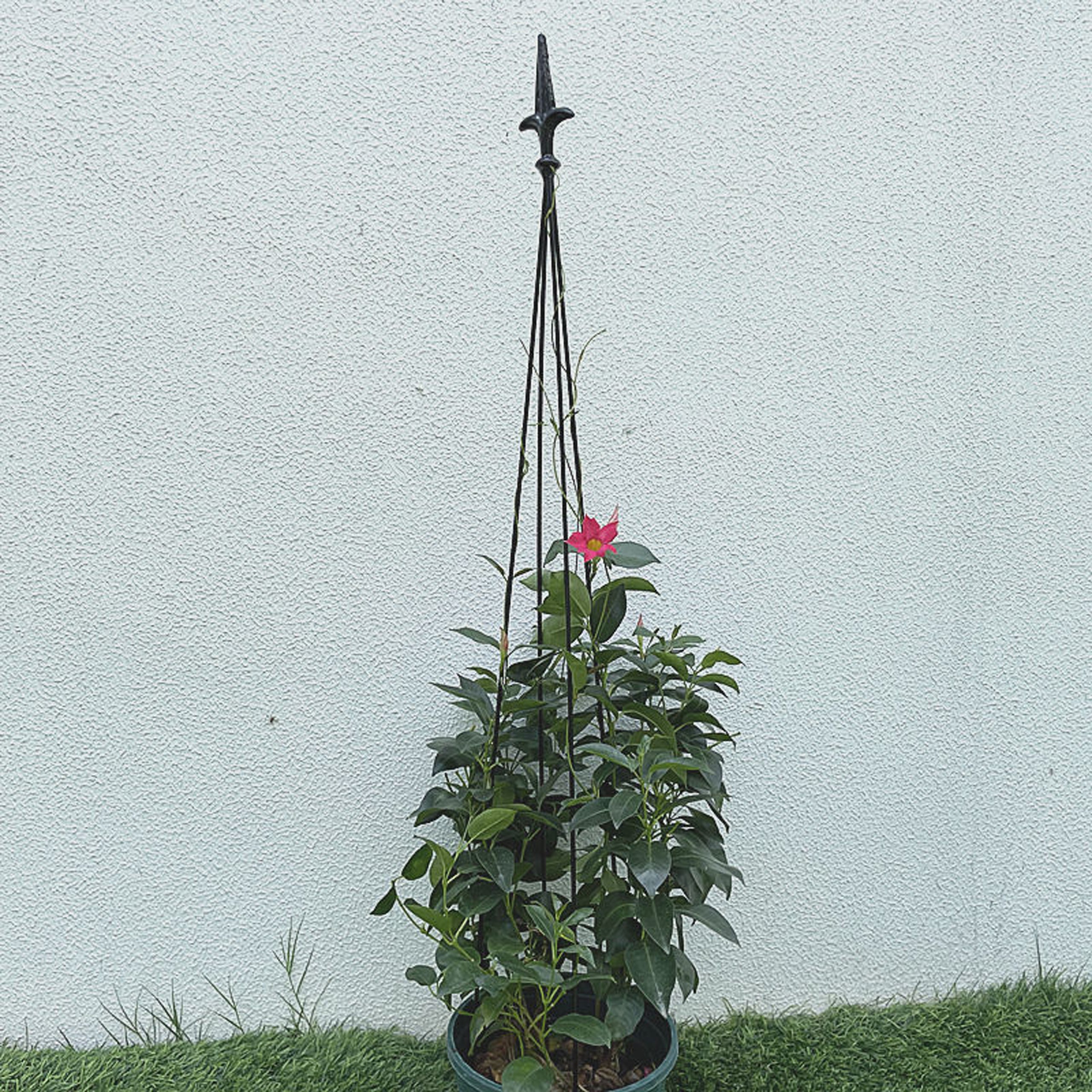 Pergola tugiraam terrassile, metallist lillede ja taimede alus, 150 cm