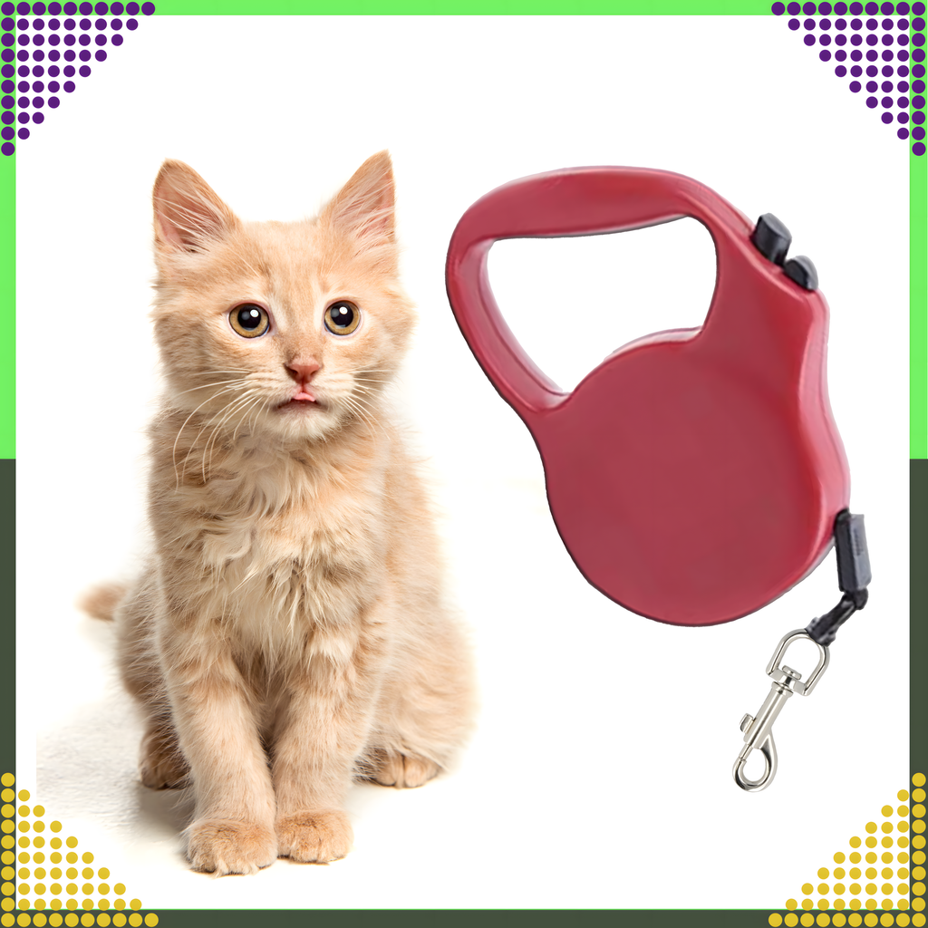Strong Lightweight Retractable Tape Leash for Dog and Cat with Automatic Lock 5m
