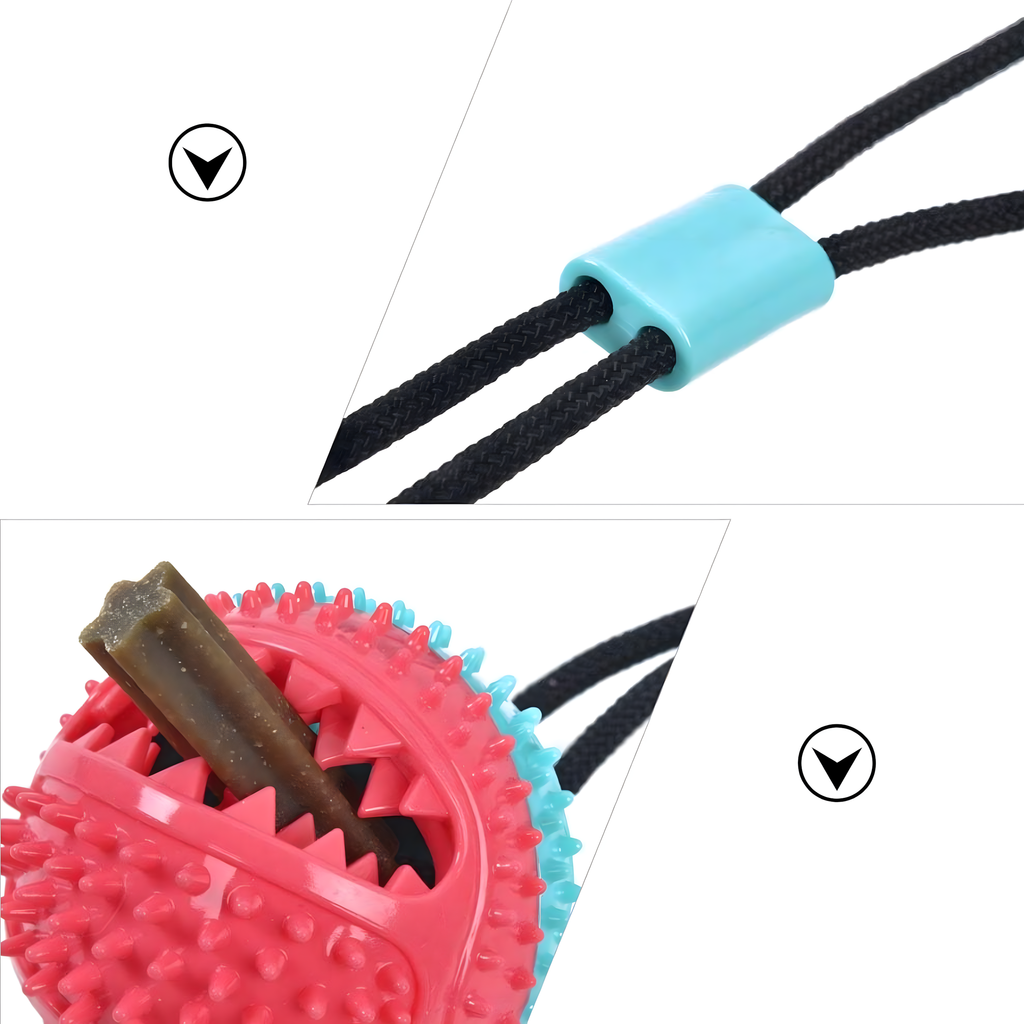 MAIUSEGA MÄNGUASI INTERAKTIIVNE KOERATOIT, PALL IMIKUPAGA, NÄRIMISMÄNGUASI