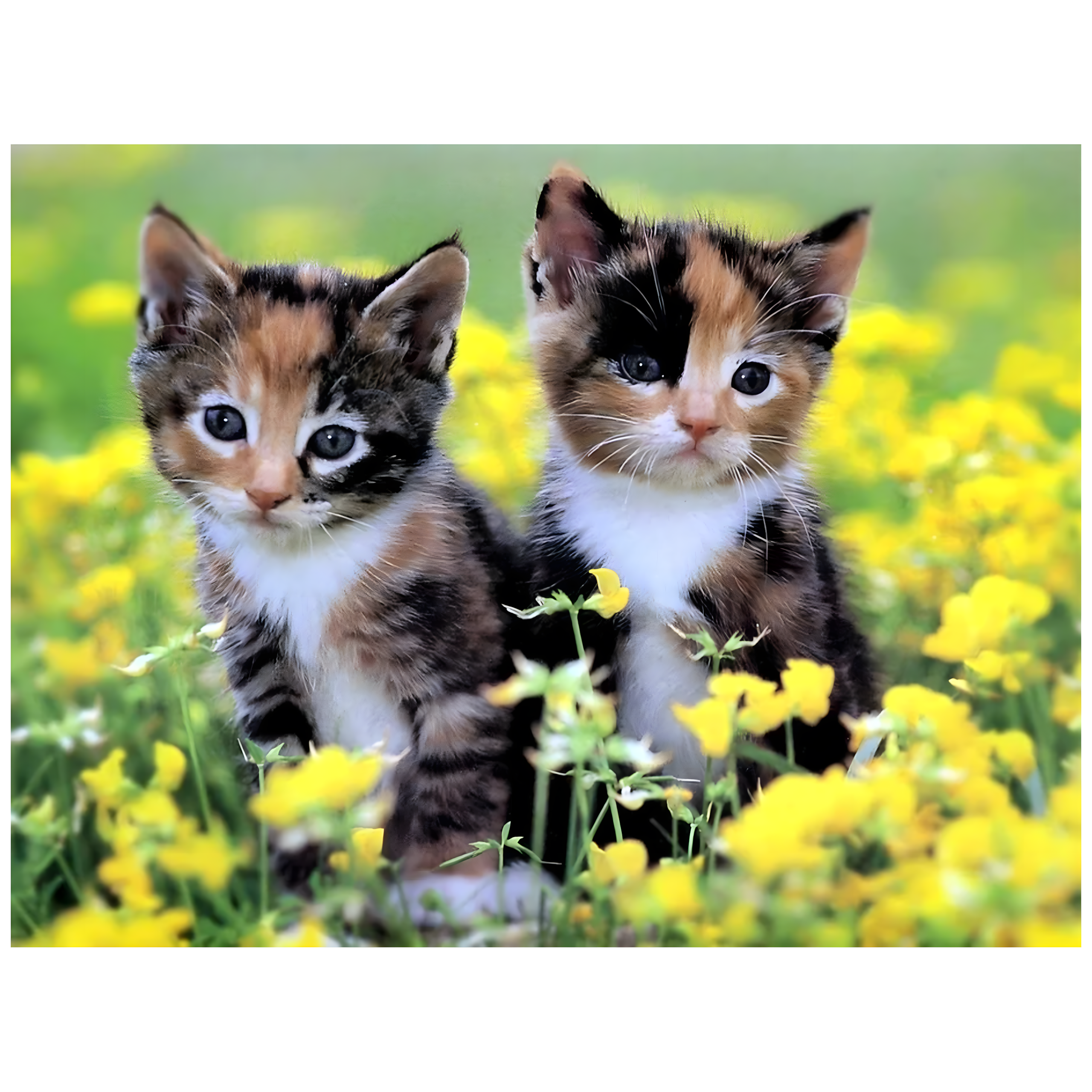 SUUR TEEMANTTIKAND 120x60 Teemantmaal Teemantmosaiik XXL KOMPLEKT