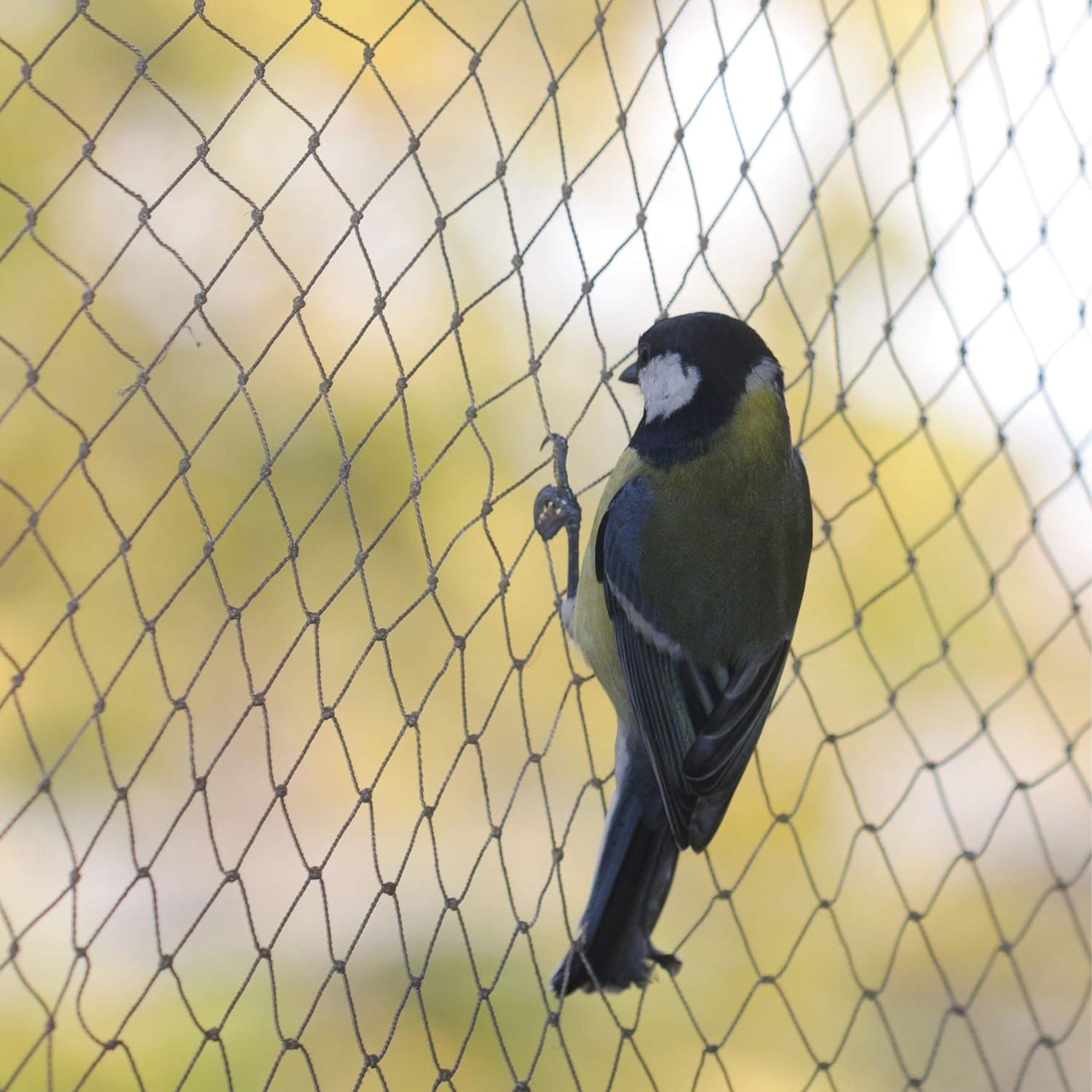 Strong Woven Balcony Net for Cats, Birds, and Pigeons 20g Black 5x10m