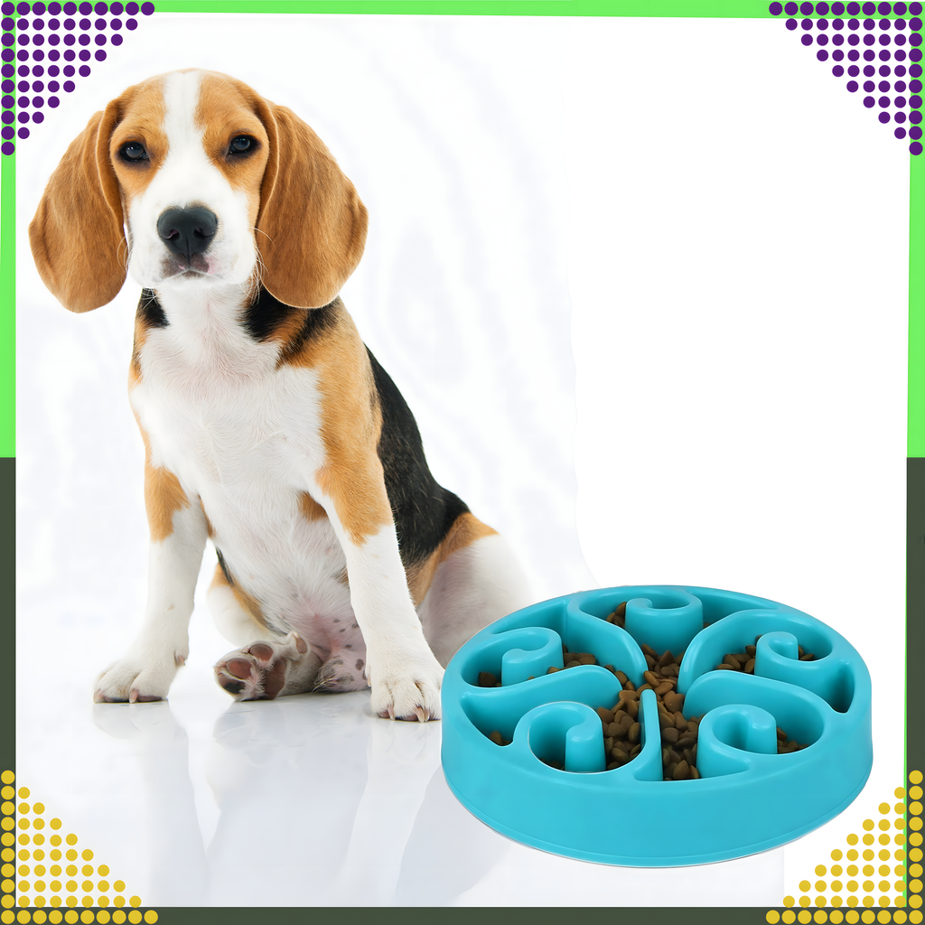 Toidu aeglustav kauss koerale, kassile ja teistele loomadele, suur, vaheseintega