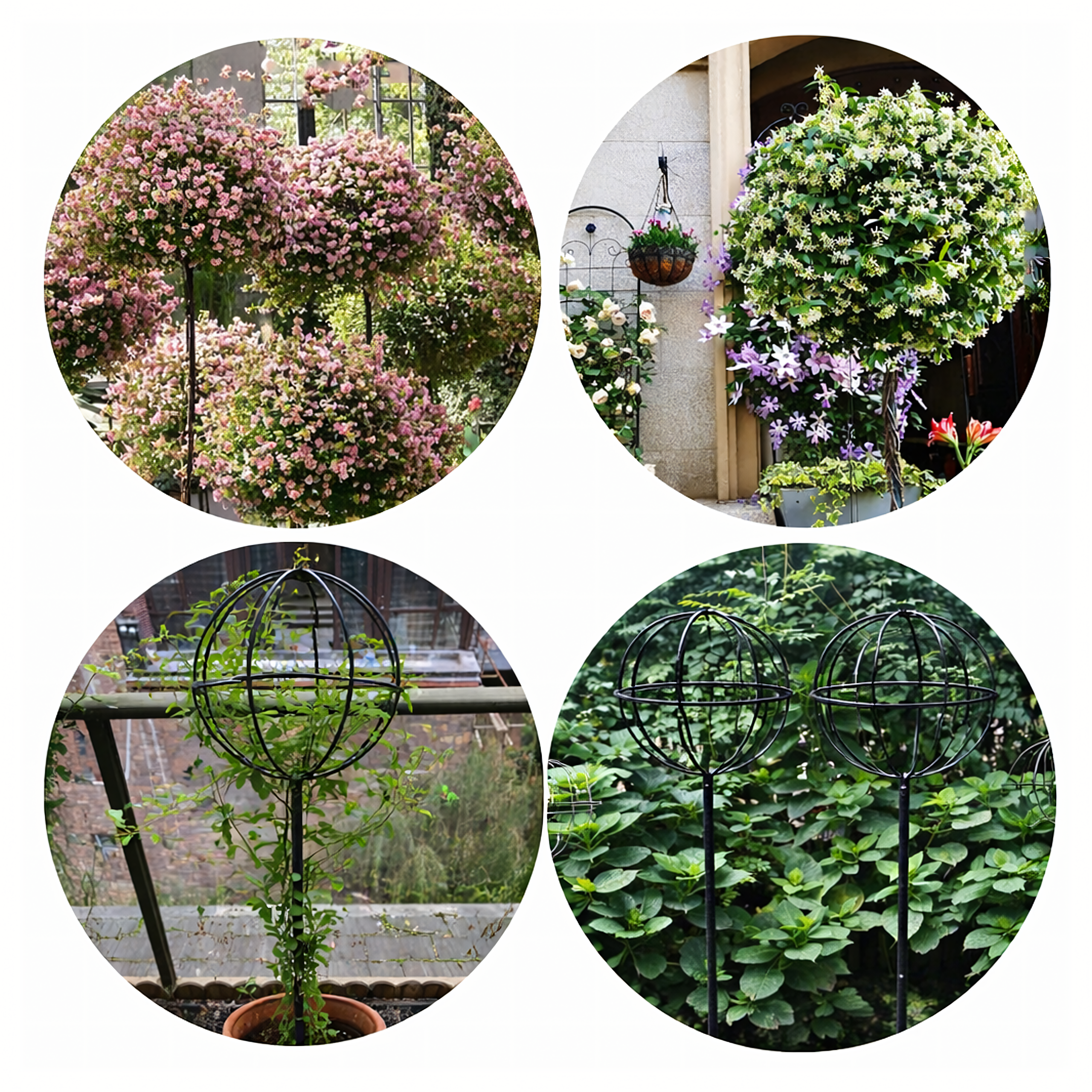 Metal Garden Pergola Support for Climbing Roses and Flowers 50x10cm Black