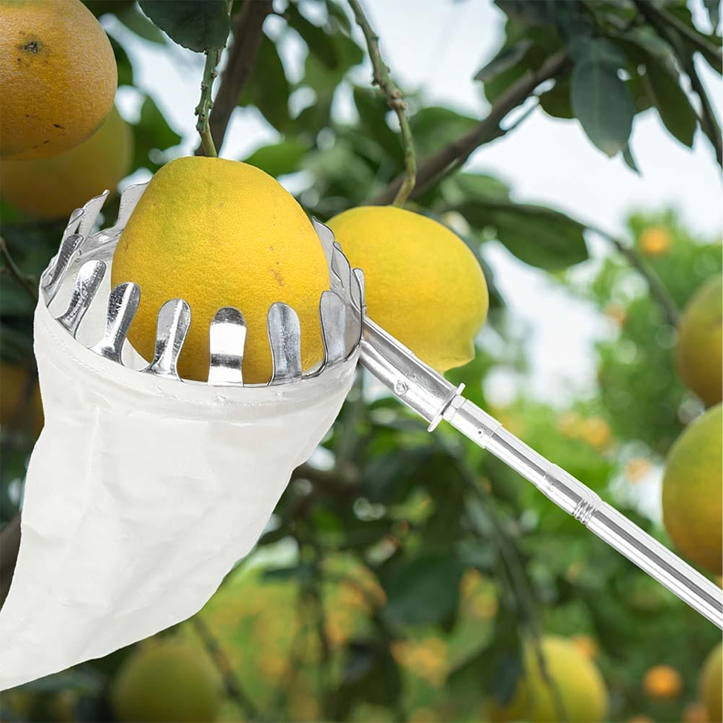 150x Fruit Picker Telescopic Handle 400 cm with 4 Interchangeable Heads