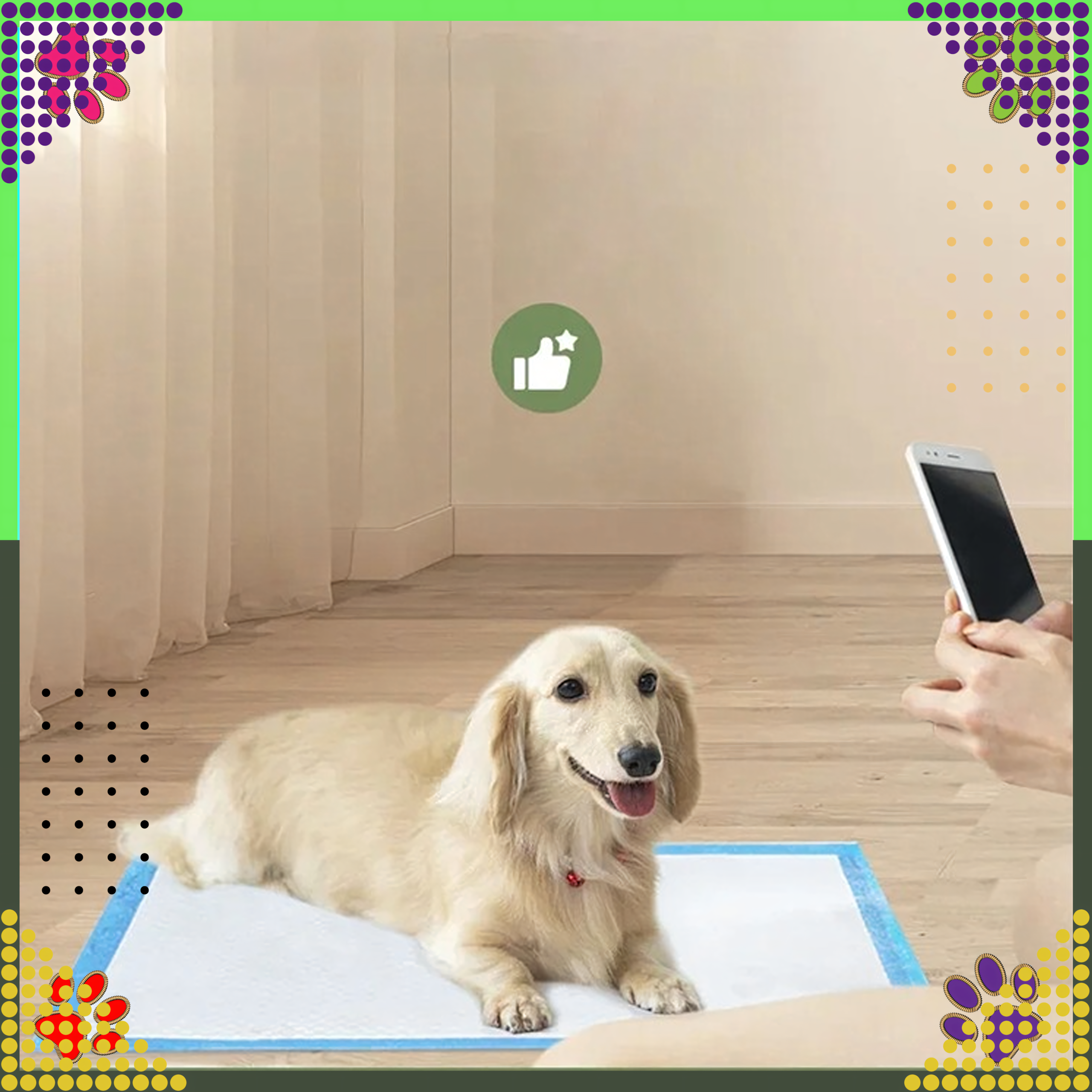 Hügieenilised matid koertele pissimise õppimiseks, XL, 60x60cm, paksud, 50 tk