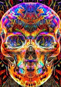 Diamond Painting 5D Mosaic Kit 63 - Skull Pattern