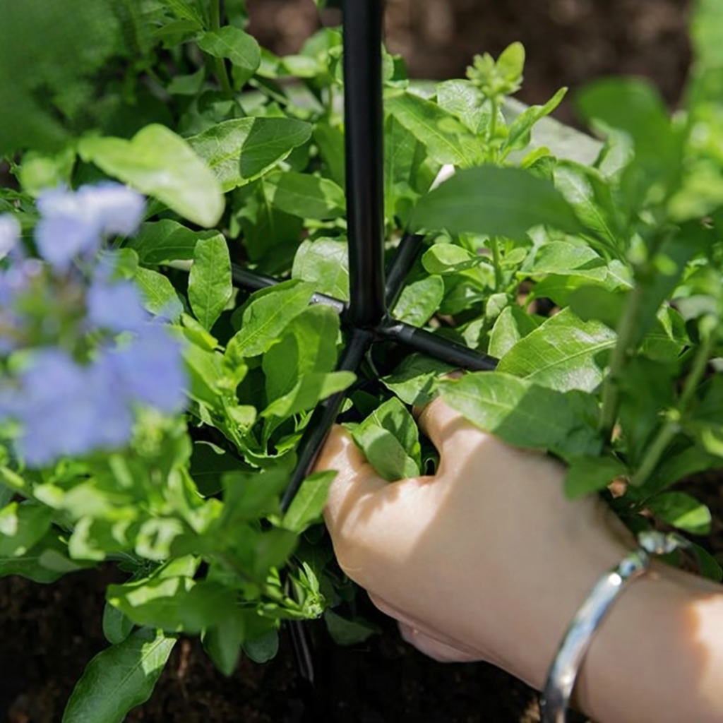 Metal Garden Pergola Support for Climbing Roses and Flowers 50x10cm Black