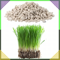 Multicomponent NPK 20-8-10 Lawn Fertilizer Granules 10 kg for 500 m²