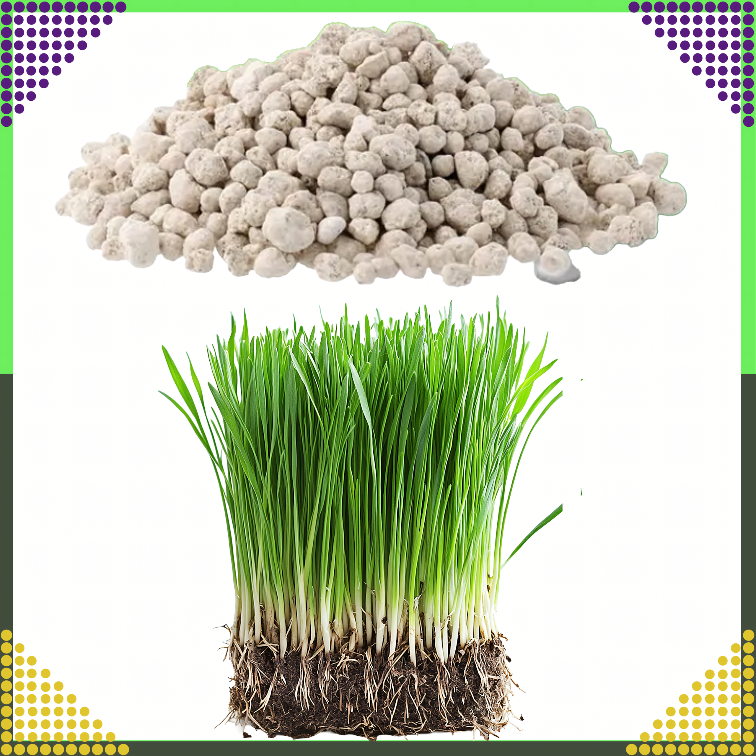 Mitmekomponentne NPK 20-8-10 muruväetise graanulid 10 kg 500 m² jaoks