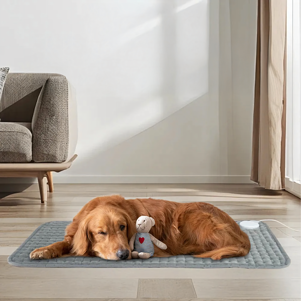 Elektriline soojenduspadi, soojendusmatt seljale, kuuma veega kott Pilot