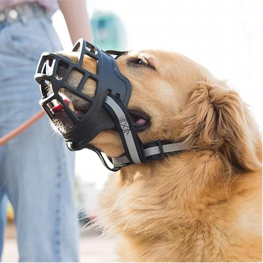 Füsioloogiline koeramuser kummist reguleeritav helkiv pehme 31-35 cm