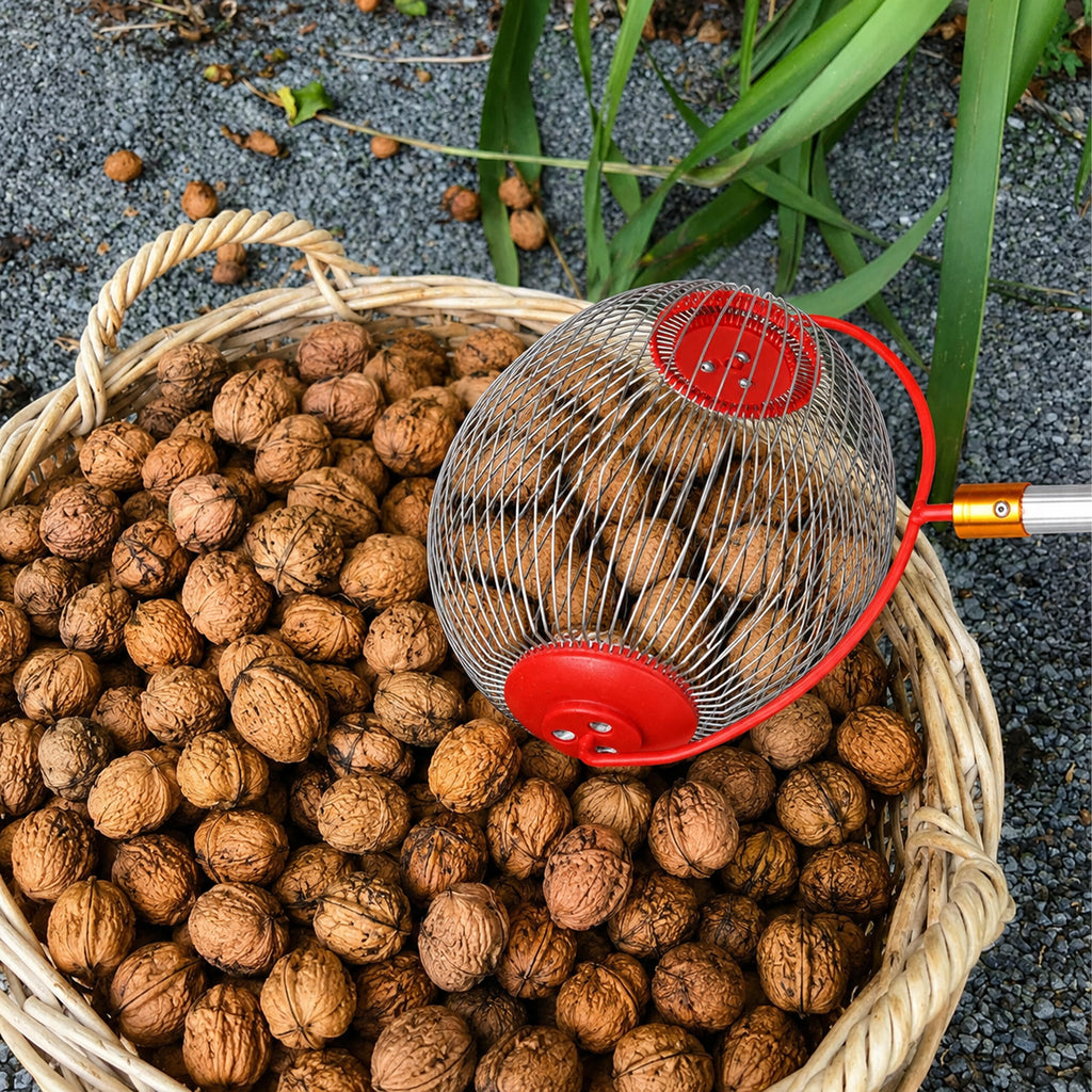 Telescopic Fruit and Nut Picker 48-105cm