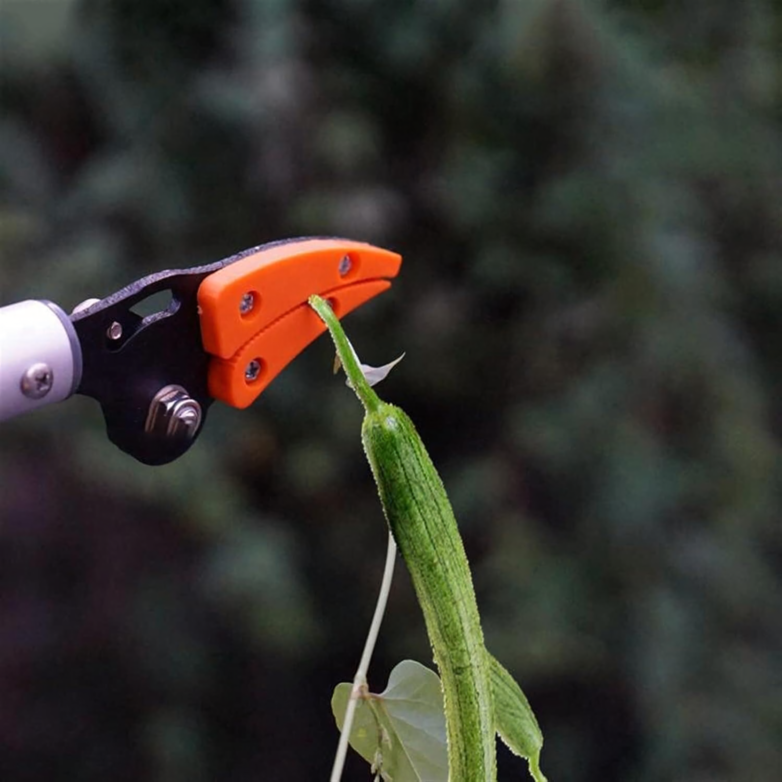 100 cm Long Scissor Pruner for Branch Trimming and Fruit Picking