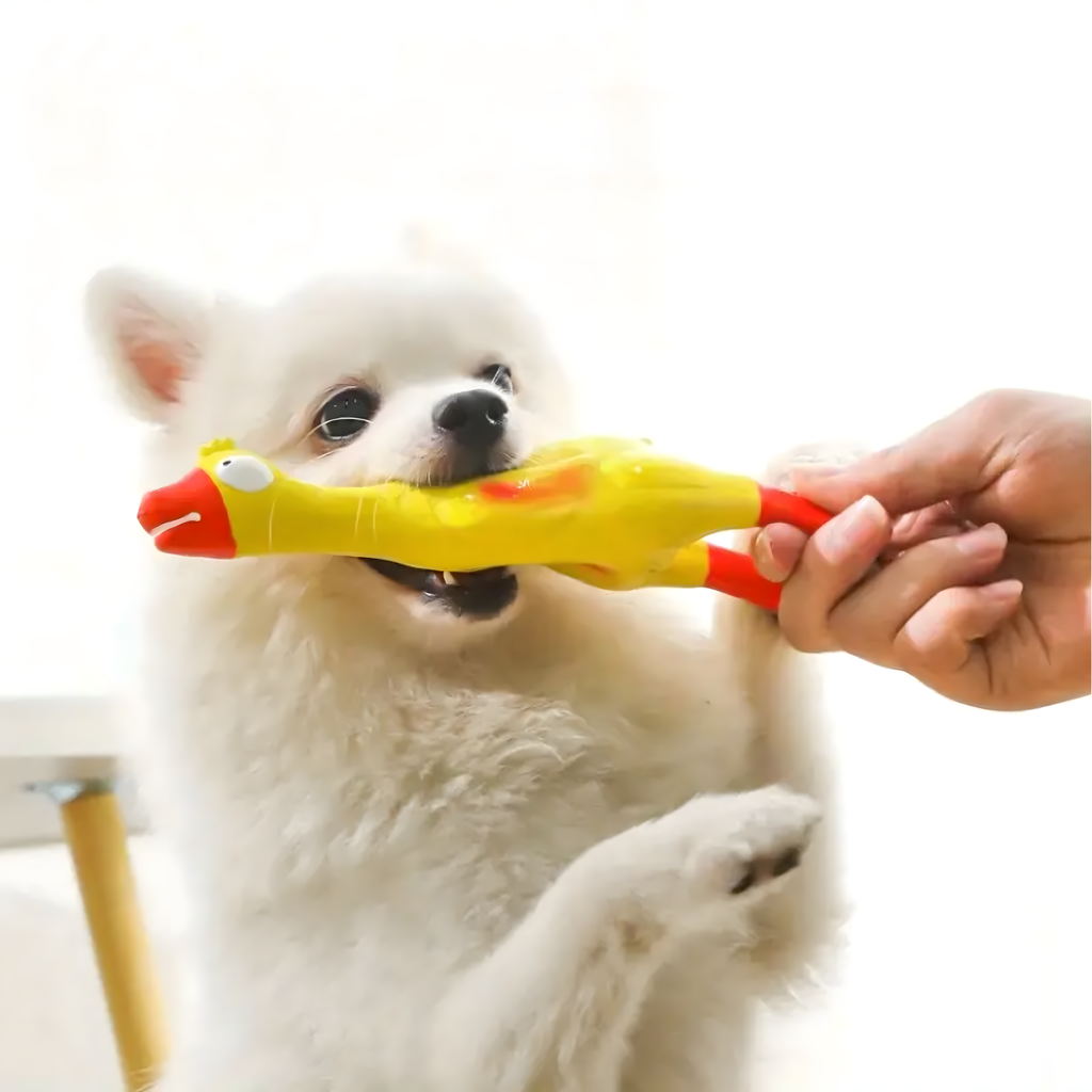 Piiksuv suur kummist kana mänguasi, suur, koerale ja kutsikale närimiseks, 22 cm