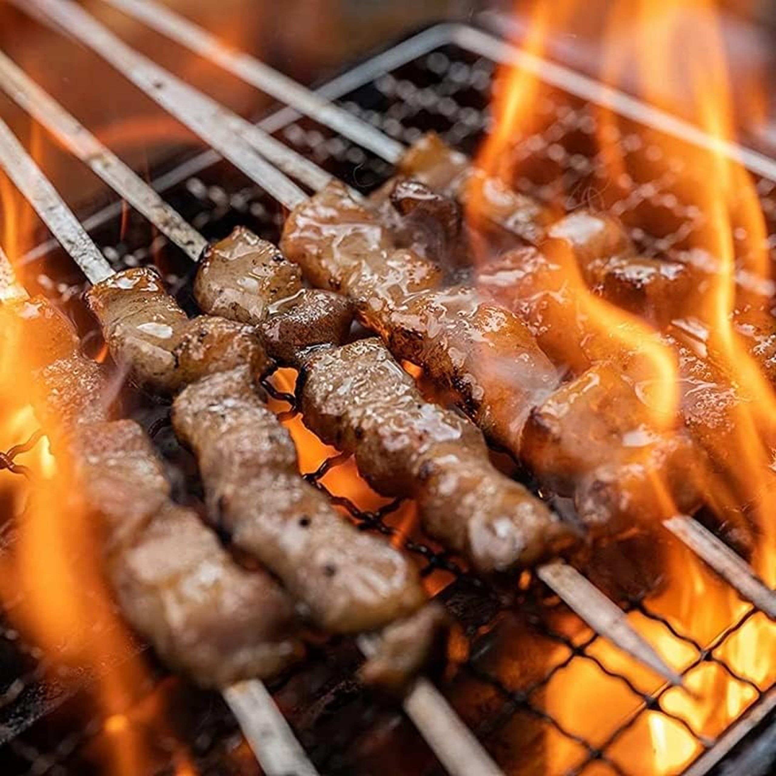 Metal Skewers for Barbecue 4 pcs 50 cm