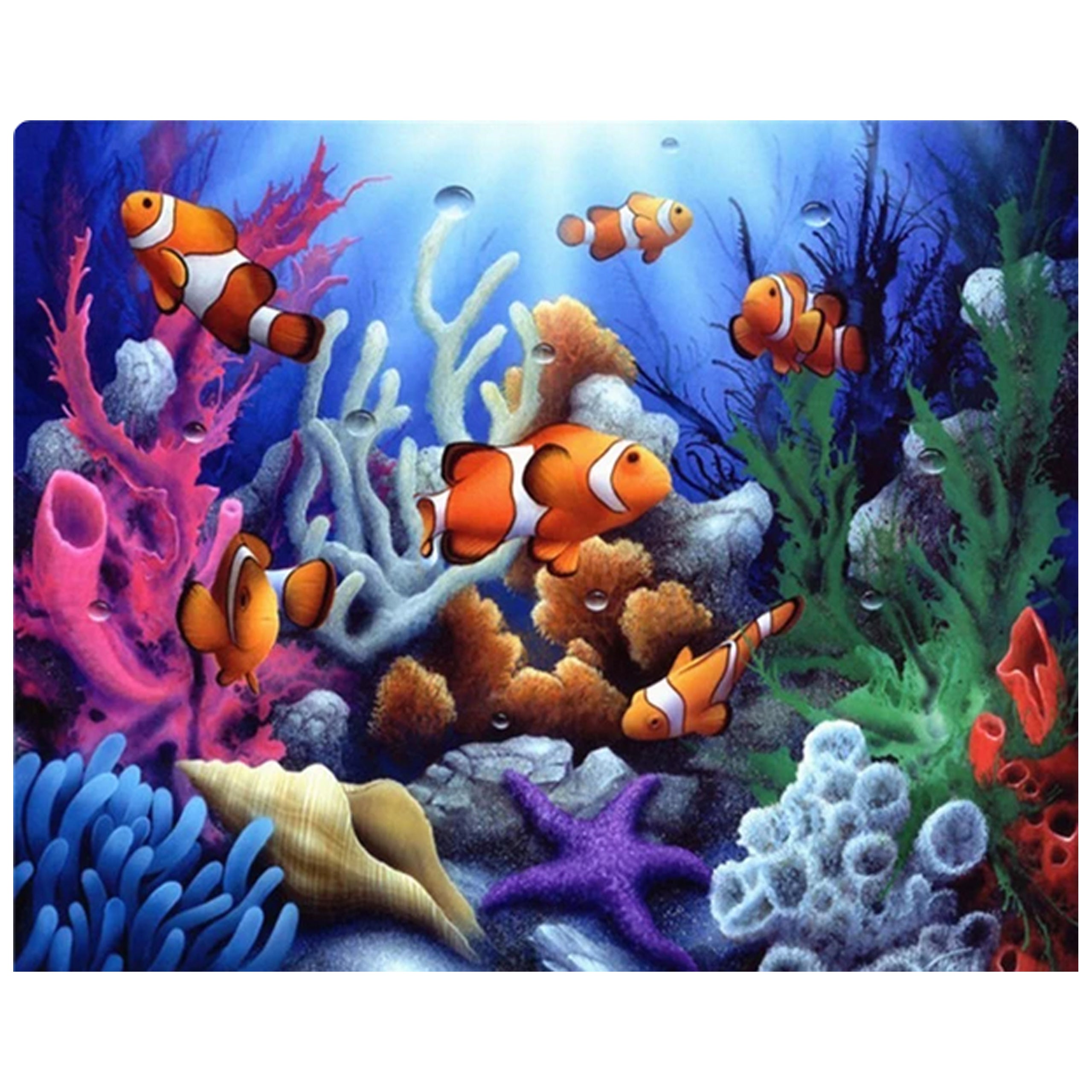 Numbrite järgi maalimise lõuend raamiga isetegemise komplekt pintslite ja värvidega 40x50