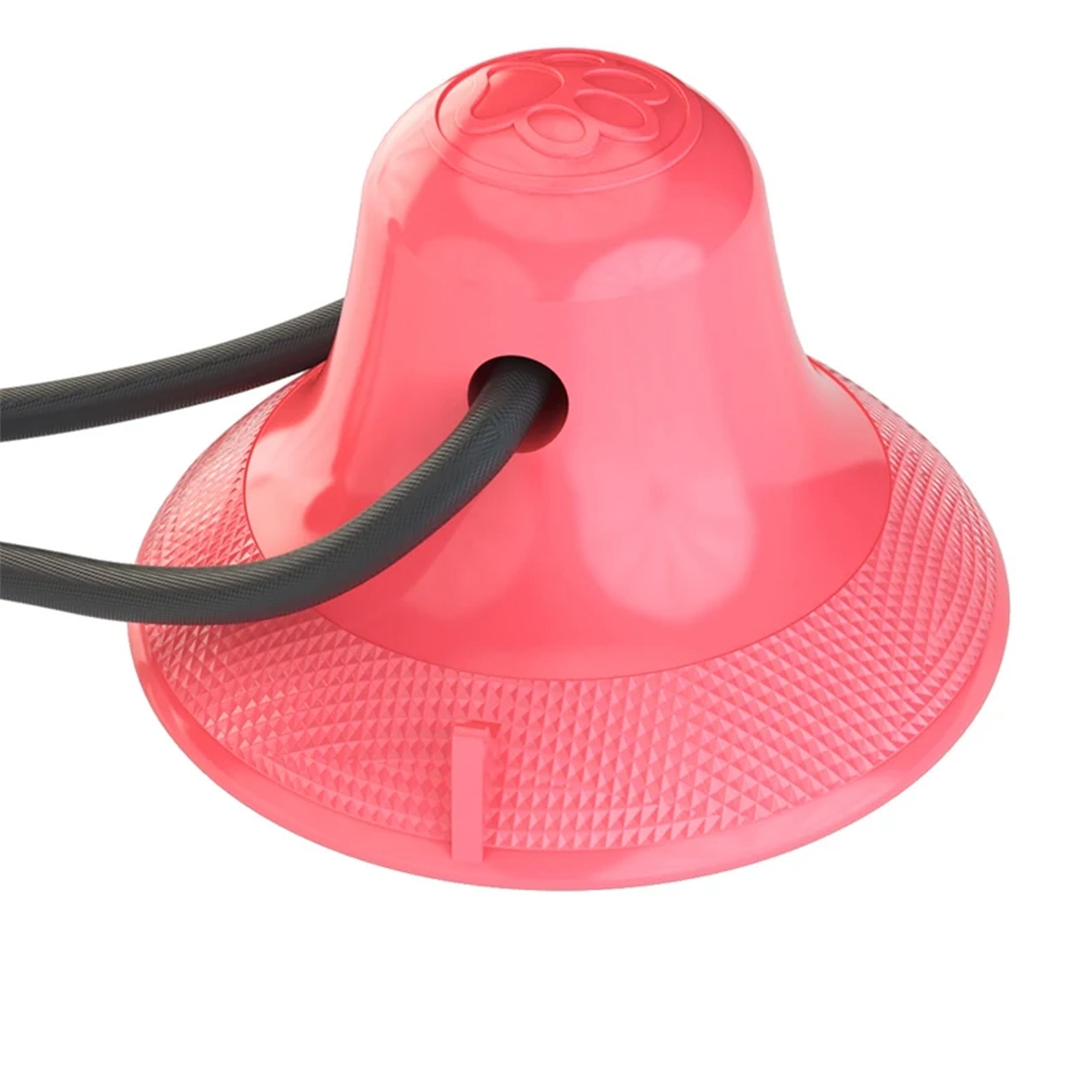 Mänguasi maiuse jaoks, interaktiivne koeratoit, pall iminapaga, närimislelu