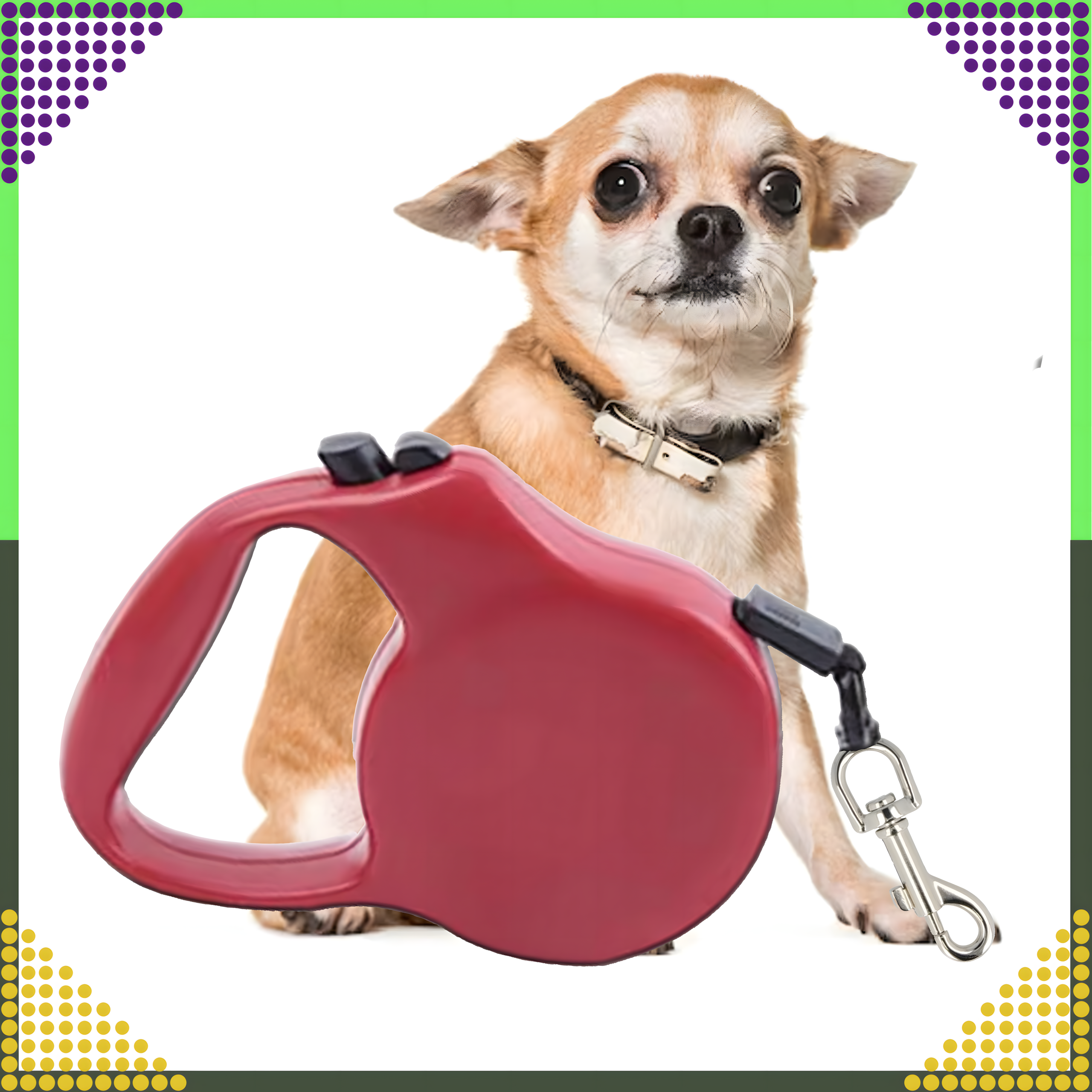 Strong Lightweight Retractable Tape Leash for Dog and Cat with Automatic Lock 5m