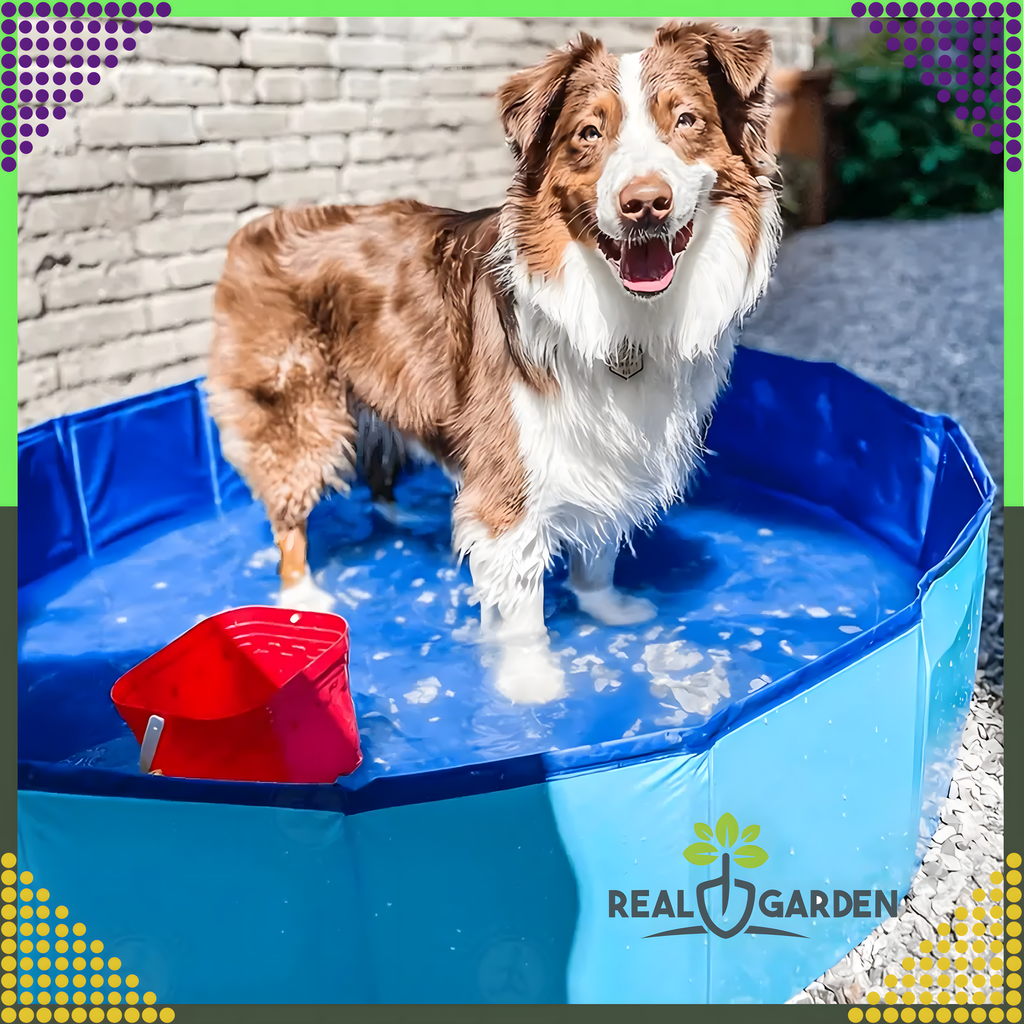 Tugev aiandusloomade ujumisbassein jahutamiseks ja pesemiseks, kokkupandav, 60x20cm