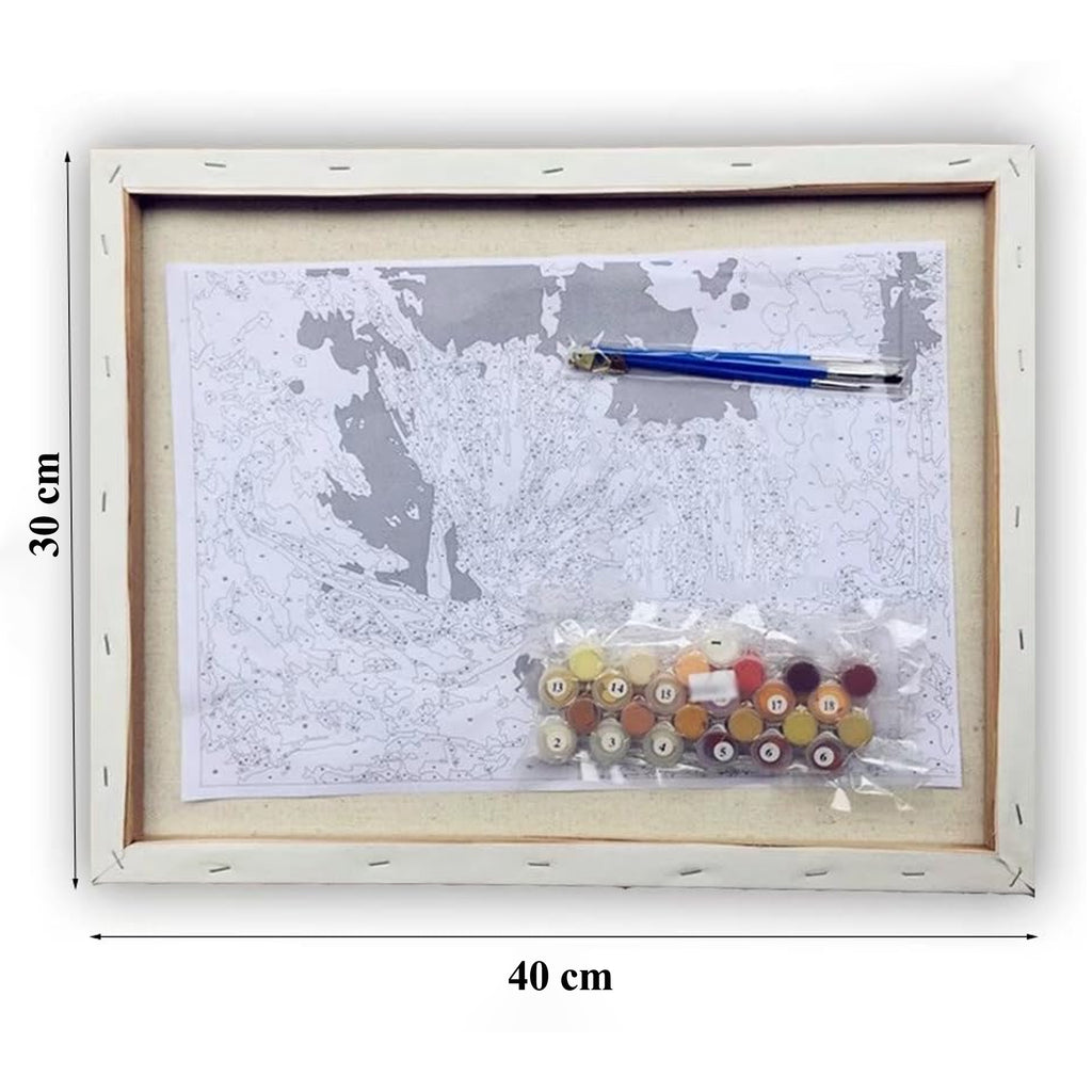 Numbrite järgi maalimise lõuend raamiga, isetegemise komplekt, pintslid, värvid, 30x40