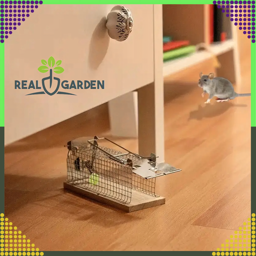 2x Humanitarian Live Trap for Rats and Rodents XXL