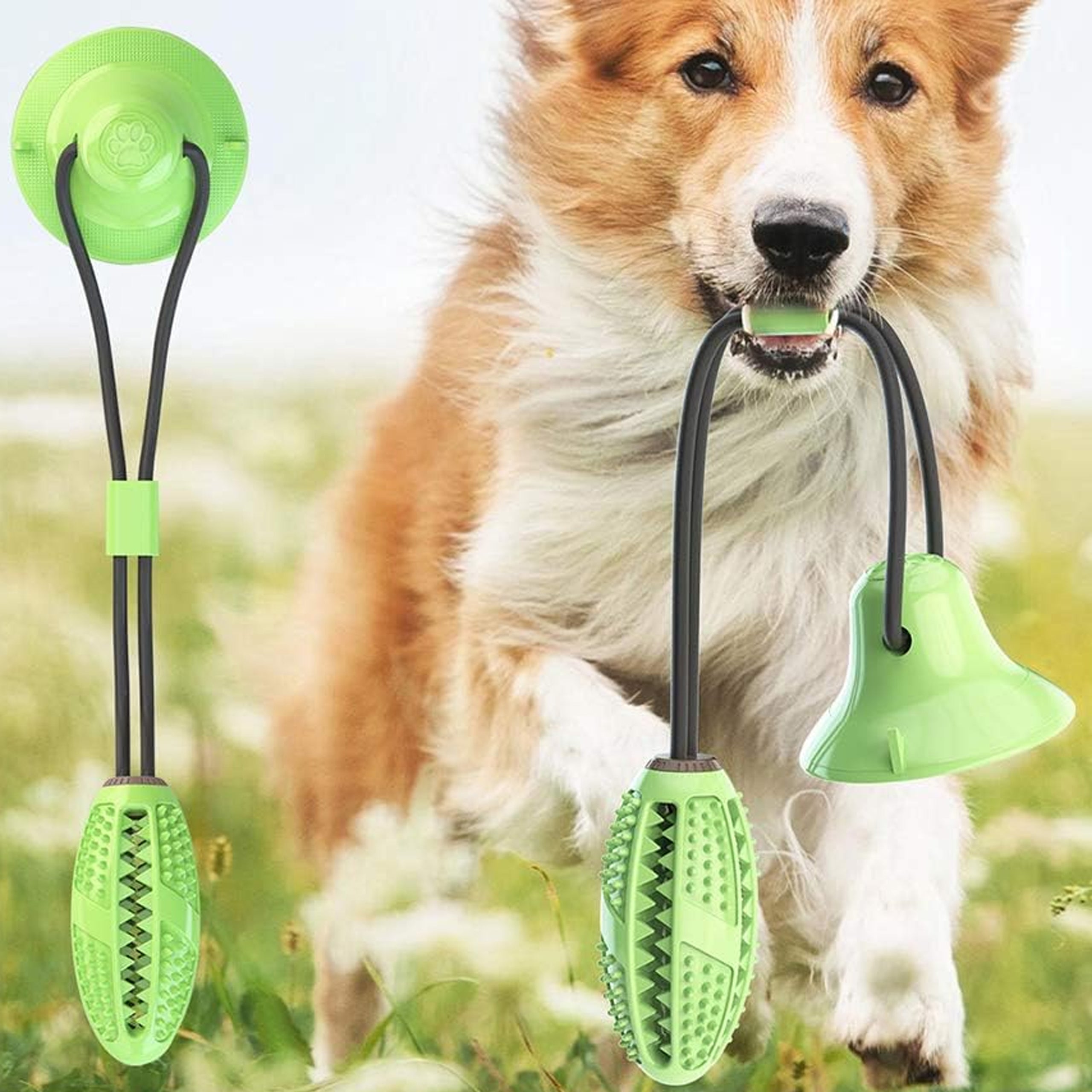 Interaktiivne koeramaiuse mänguasi aardega iminapaga