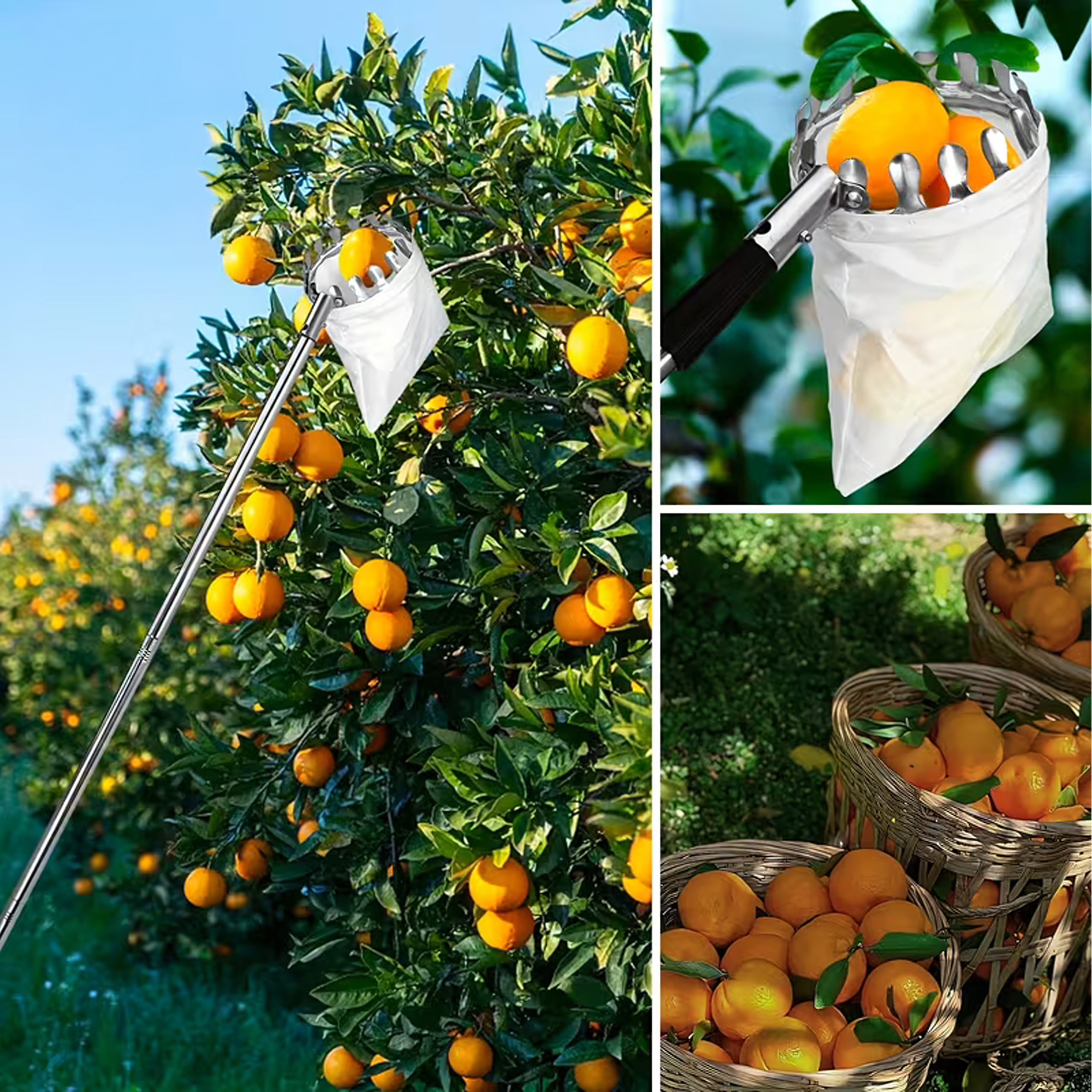 Telescopic Fruit Picker with 4 Interchangeable Heads, 400 cm Handle
